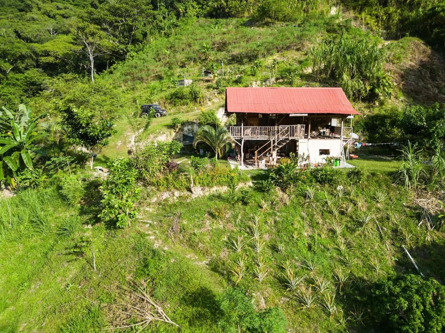 Cinduli Finca Orgánica Cacaotera photo 4