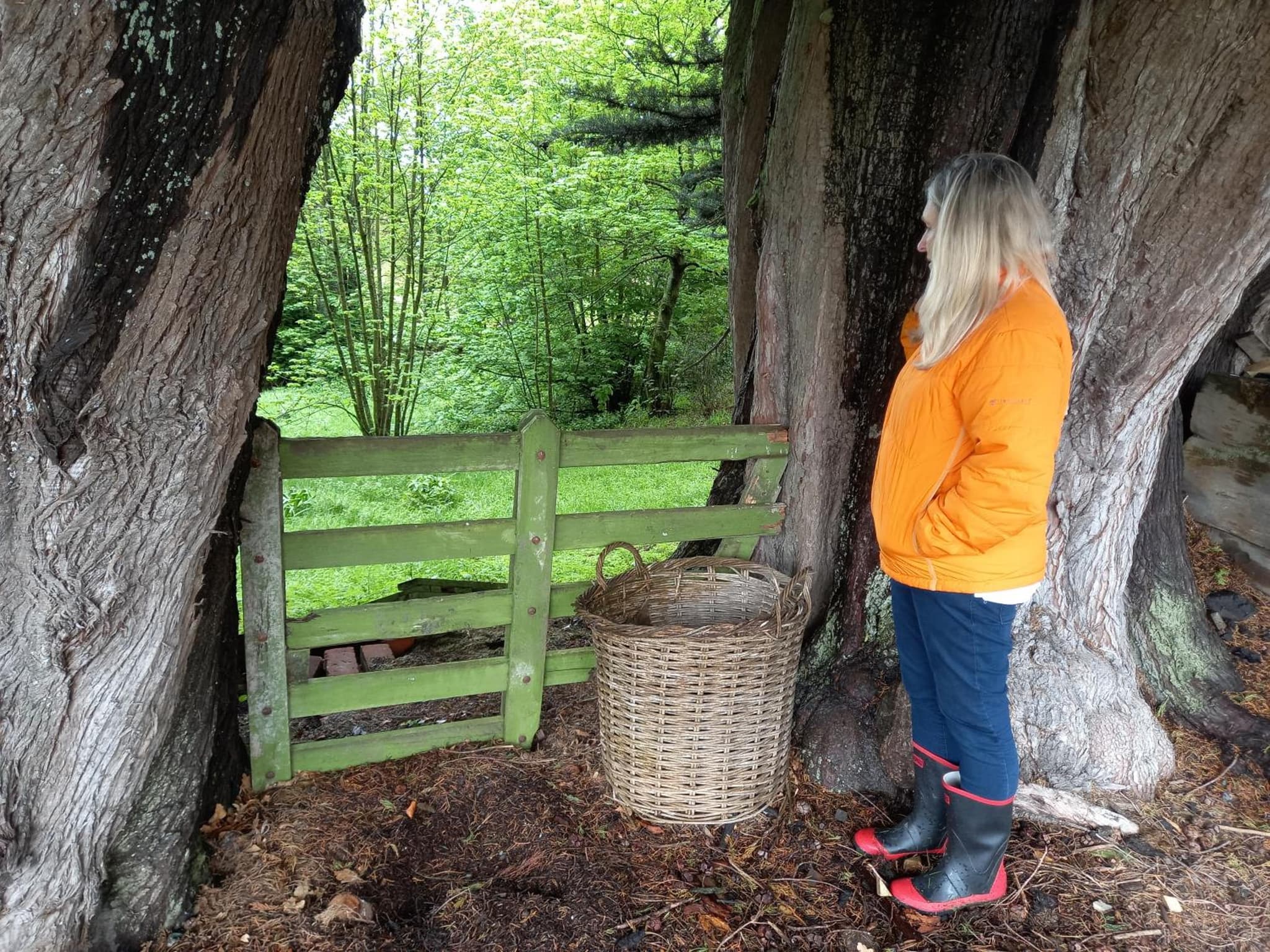 Mainholm Lodge photo 6