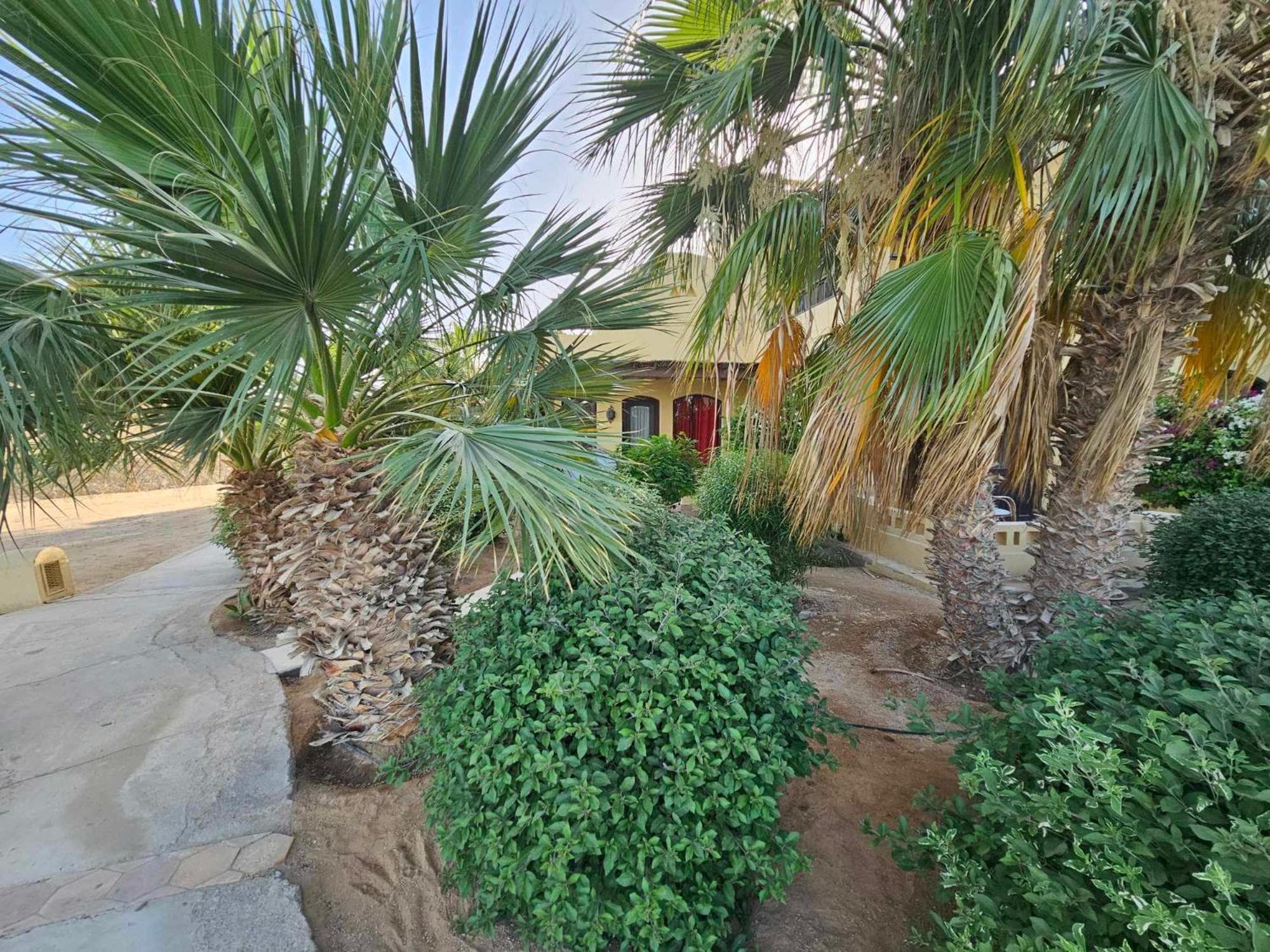 El gouna -Y1 Ground floor photo 3
