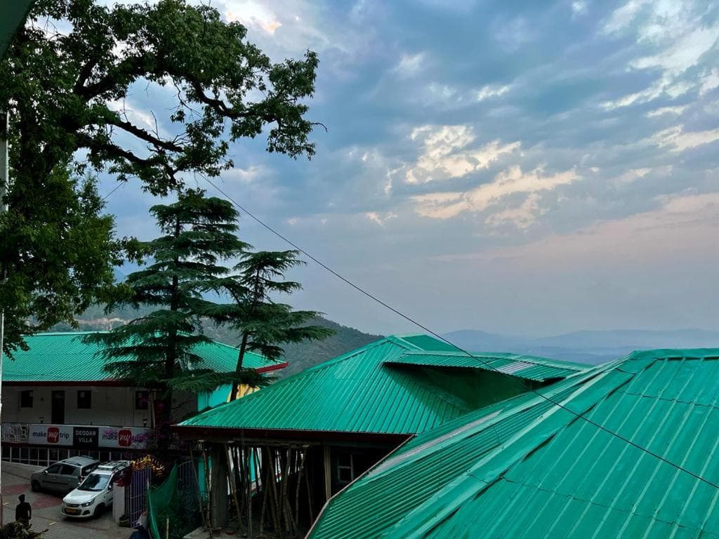 Hotel Norbu House