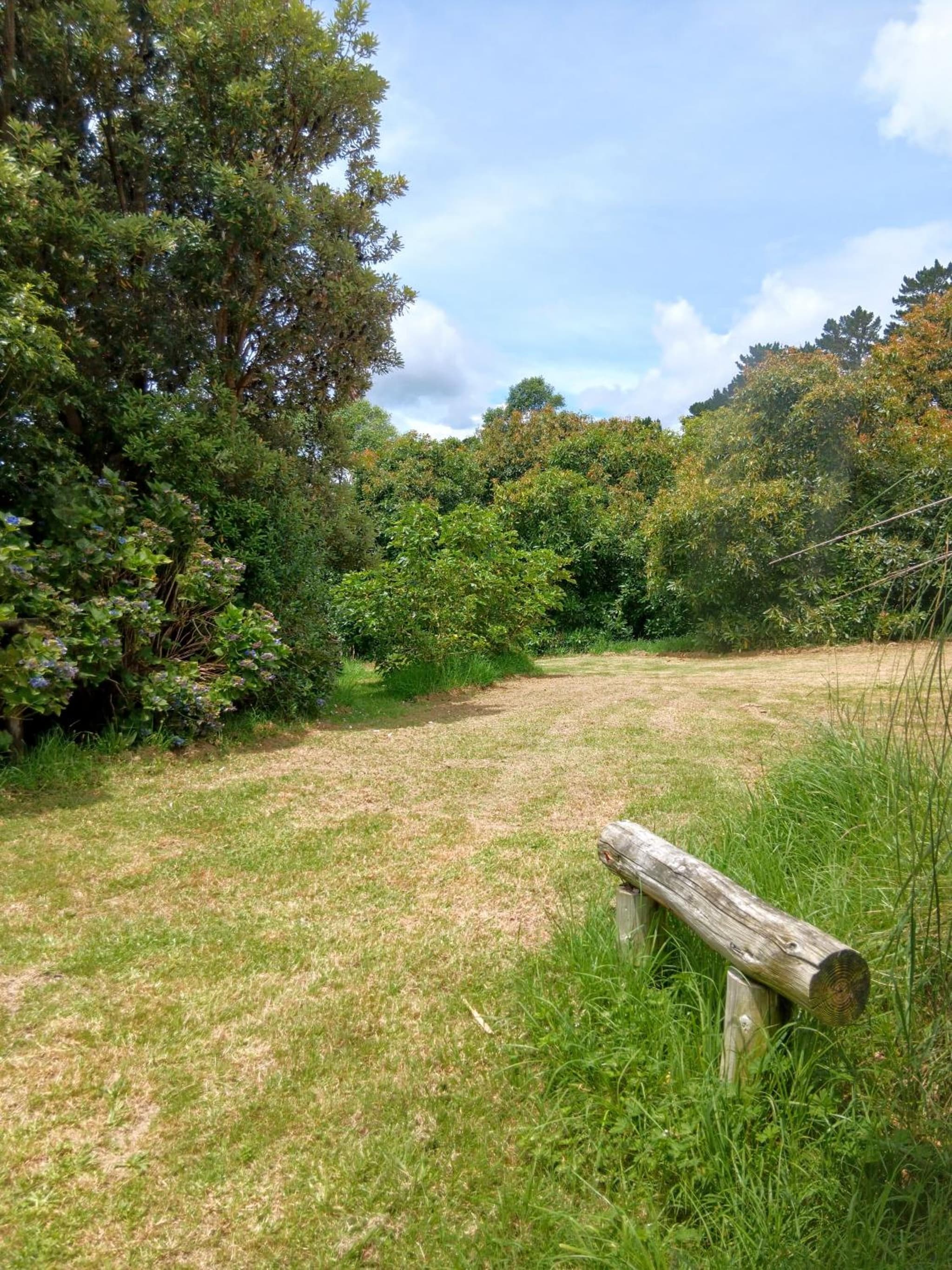 Purple Hen Country Lodge photo 6