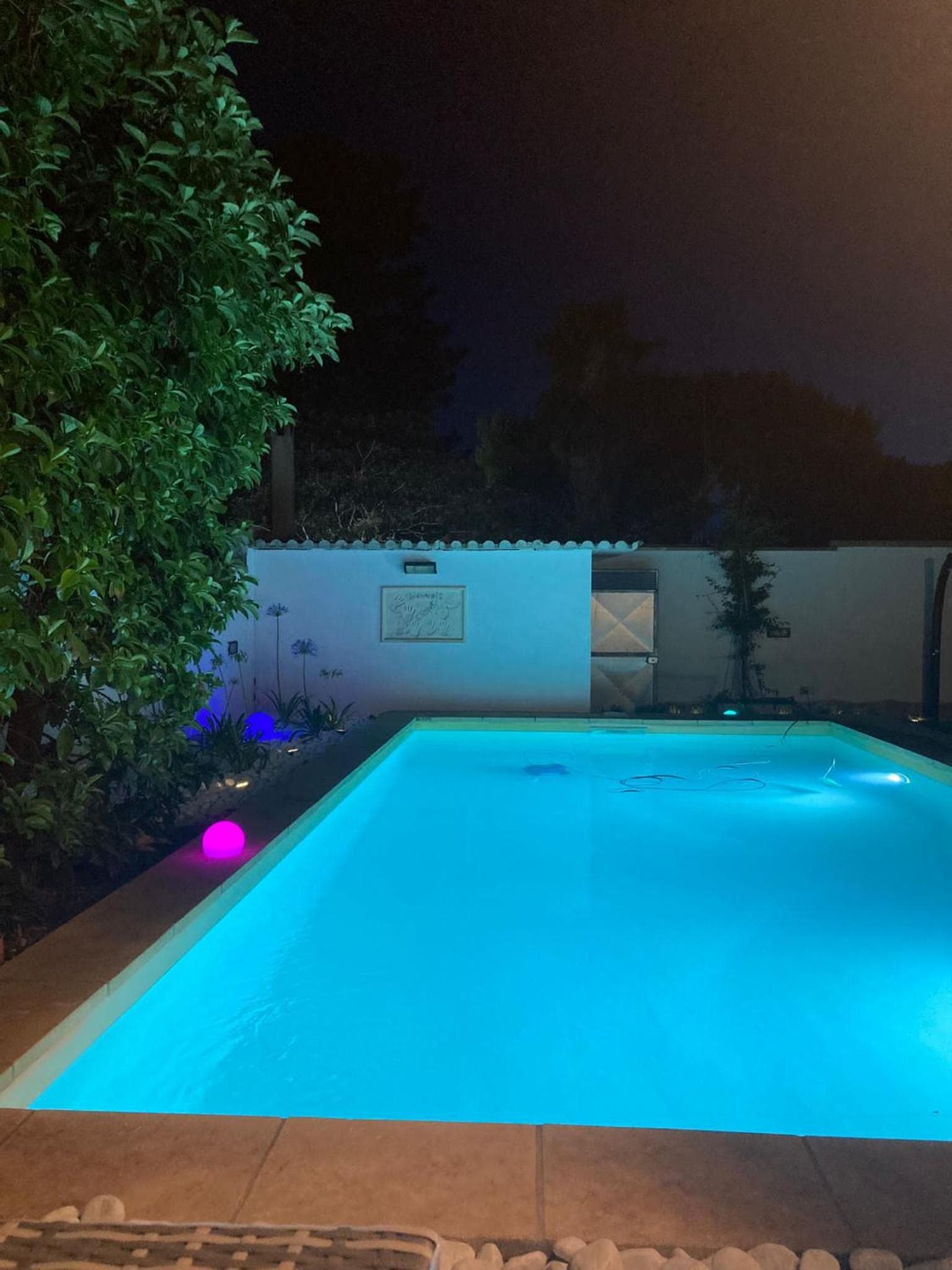 Villa Carolina photo 5