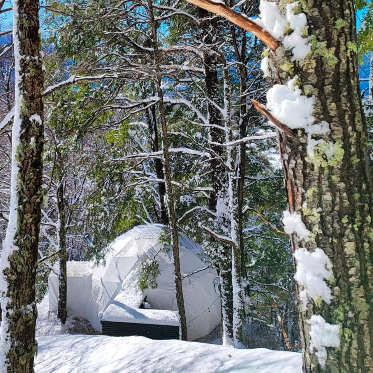 Malalcahuello Eco Glamp photo 9