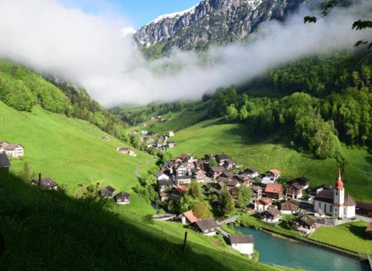 Alpenperle photo 8