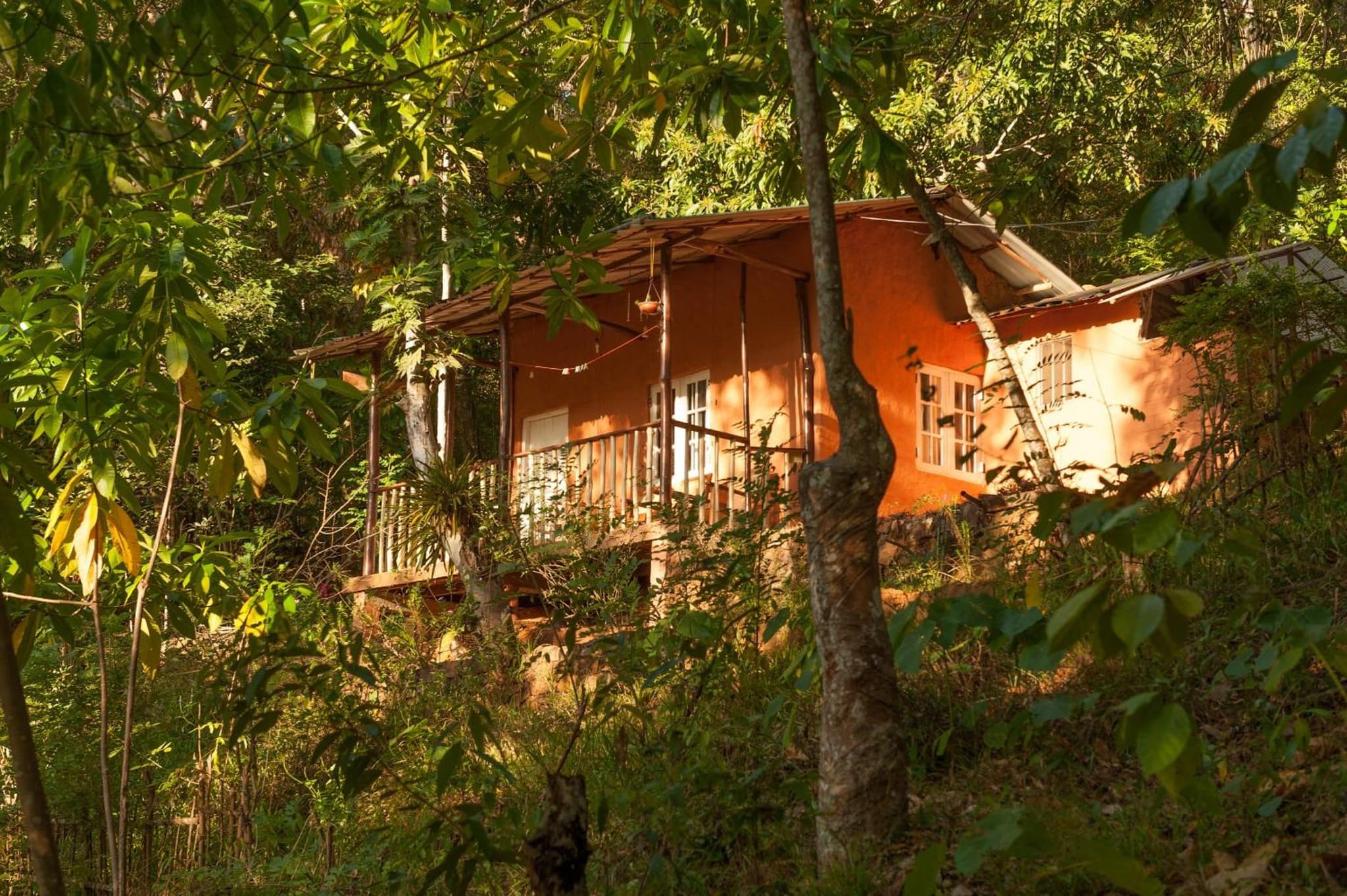 Polwaththa Eco Lodges photo 9