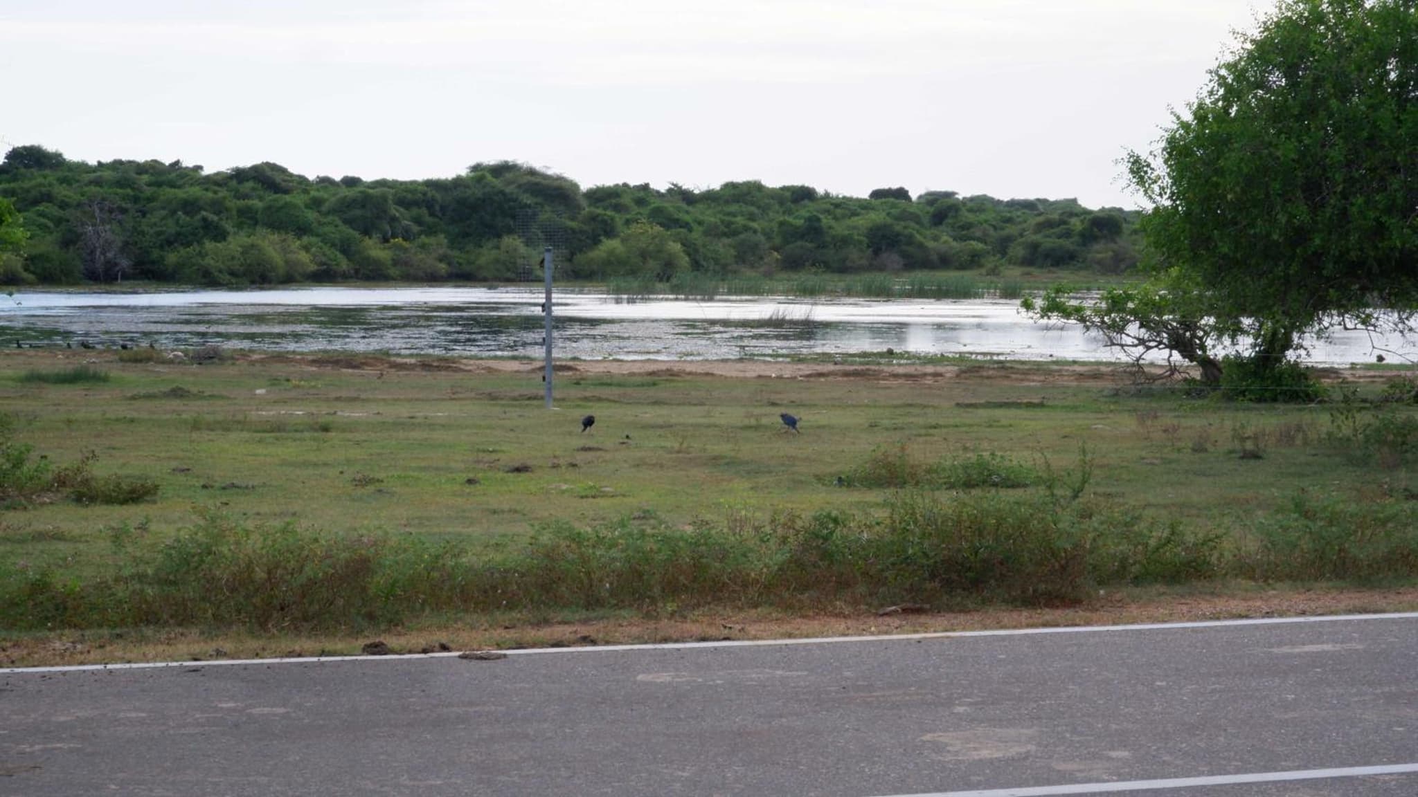 Attale Resort photo 3
