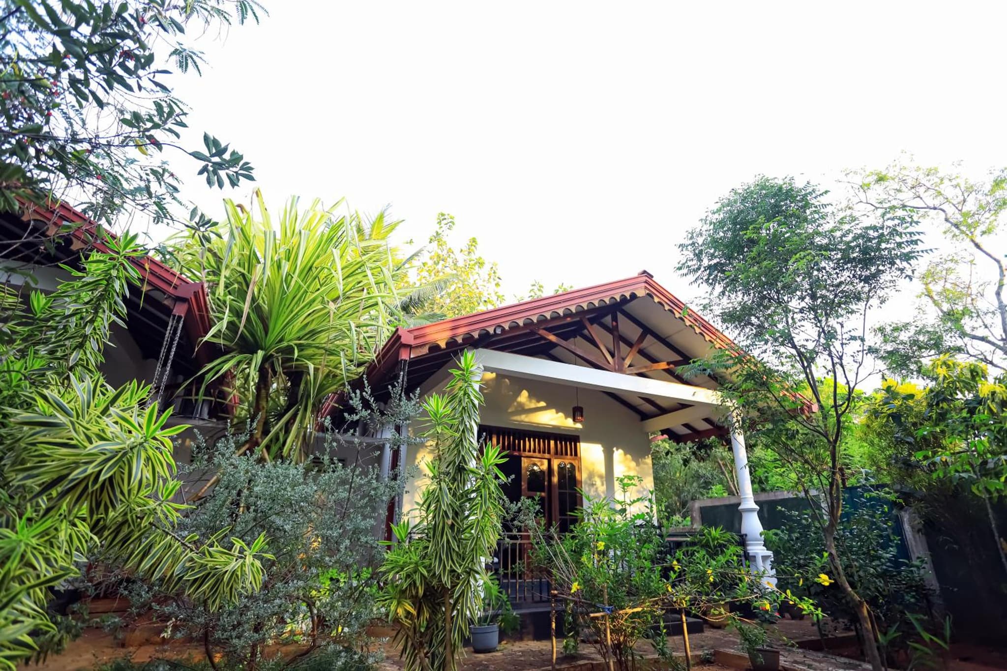 Scenic Cottage Sigiriya