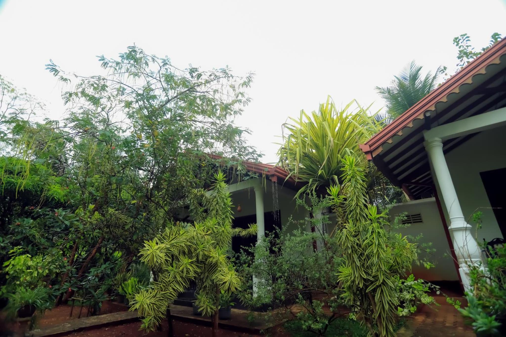 Scenic Cottage Sigiriya photo 6