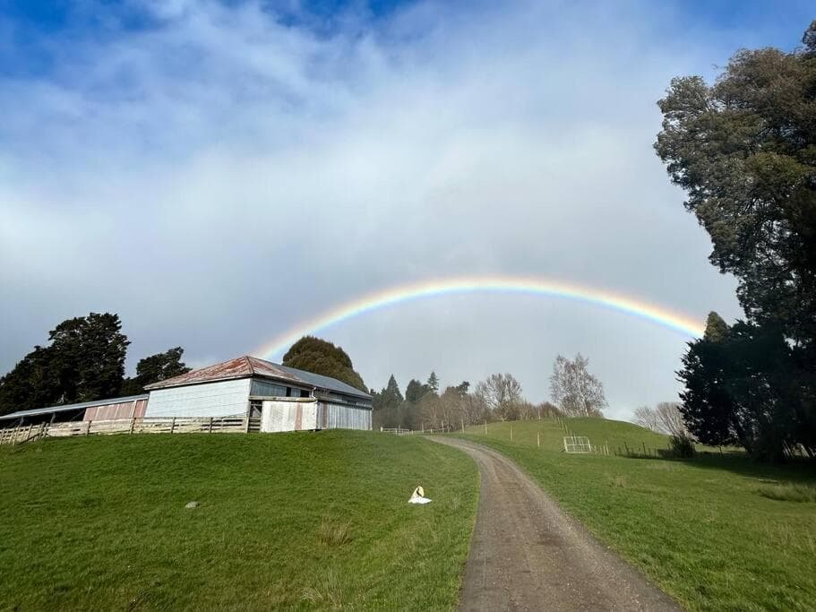 Rawhiti Farm Cottage photo 9