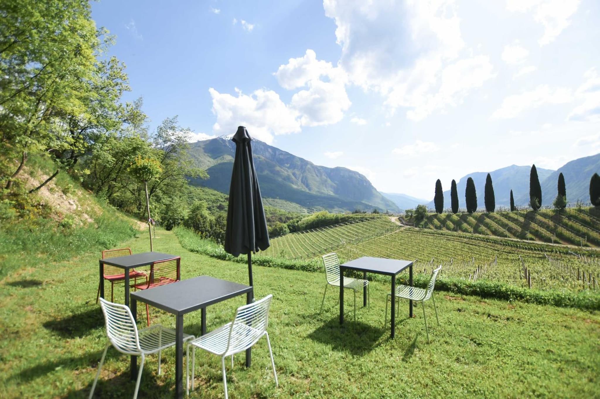 Agritur Casteller photo 3
