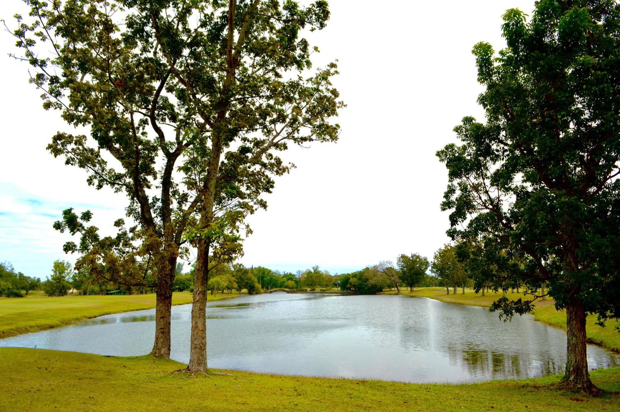 Luisita Central Park Hotel photo 2