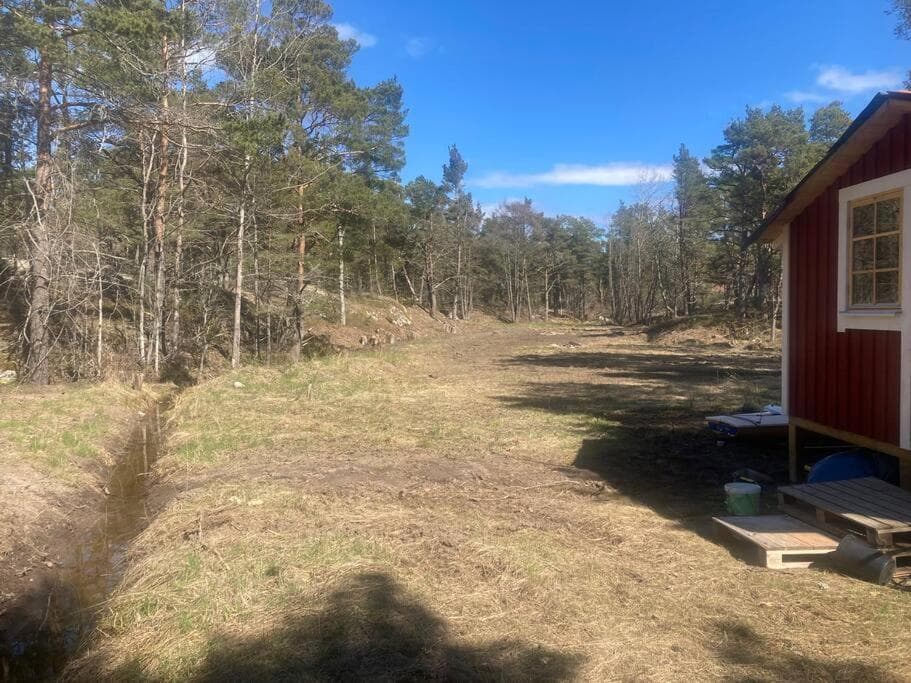 Dunderfriggan på Möja photo 8