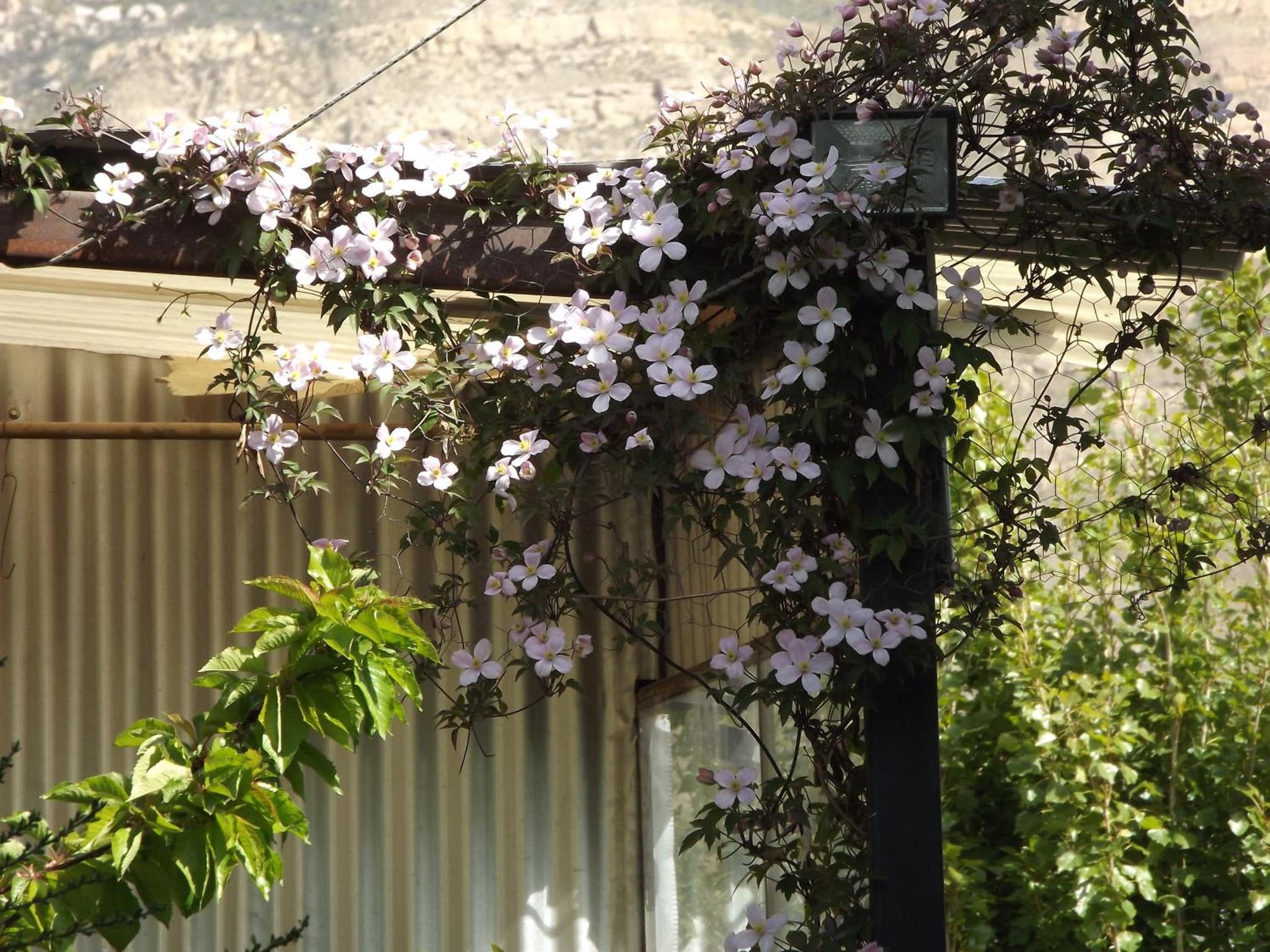 Kiritina´s House Homestay photo 5