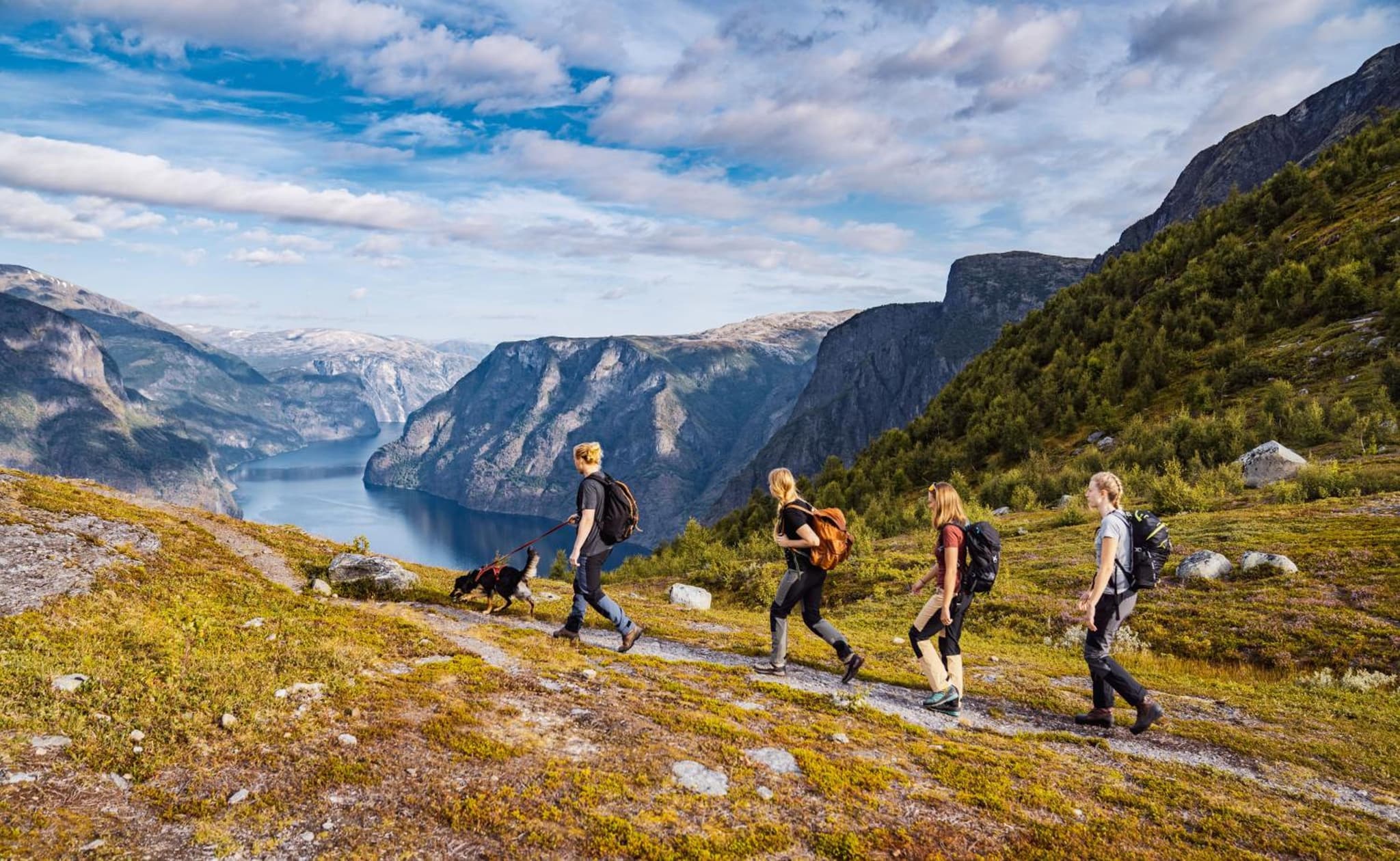 Hotel Aurlandsfjord photo 6