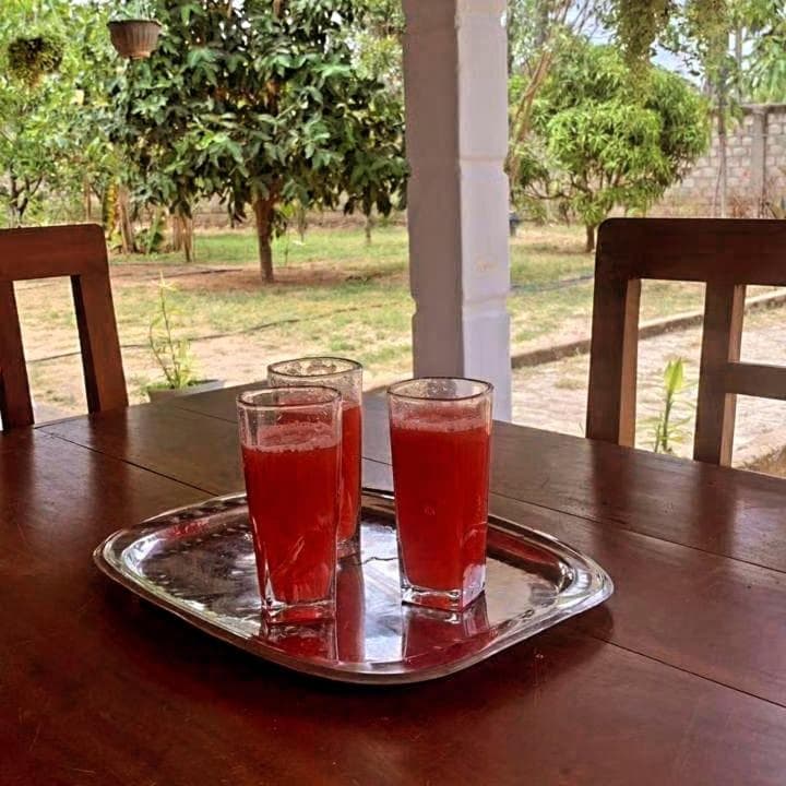 Nesan’s villa photo 7