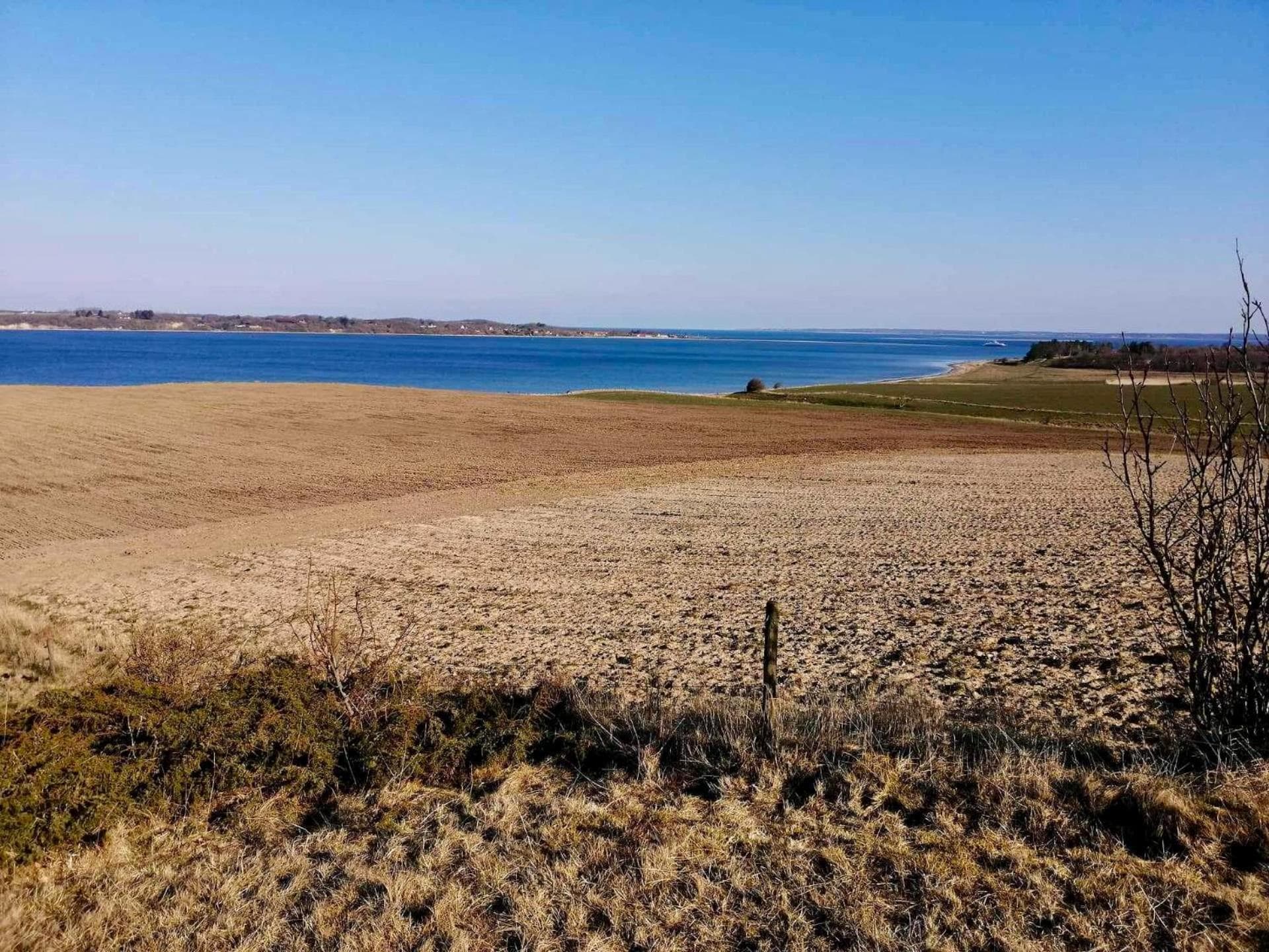 Kongshøjgaard photo 9