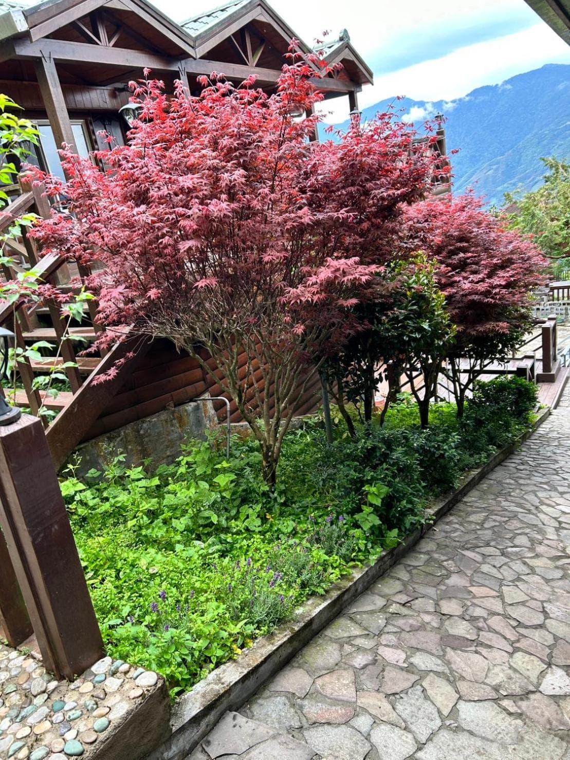 Lala Mountain San hao Manor photo 9