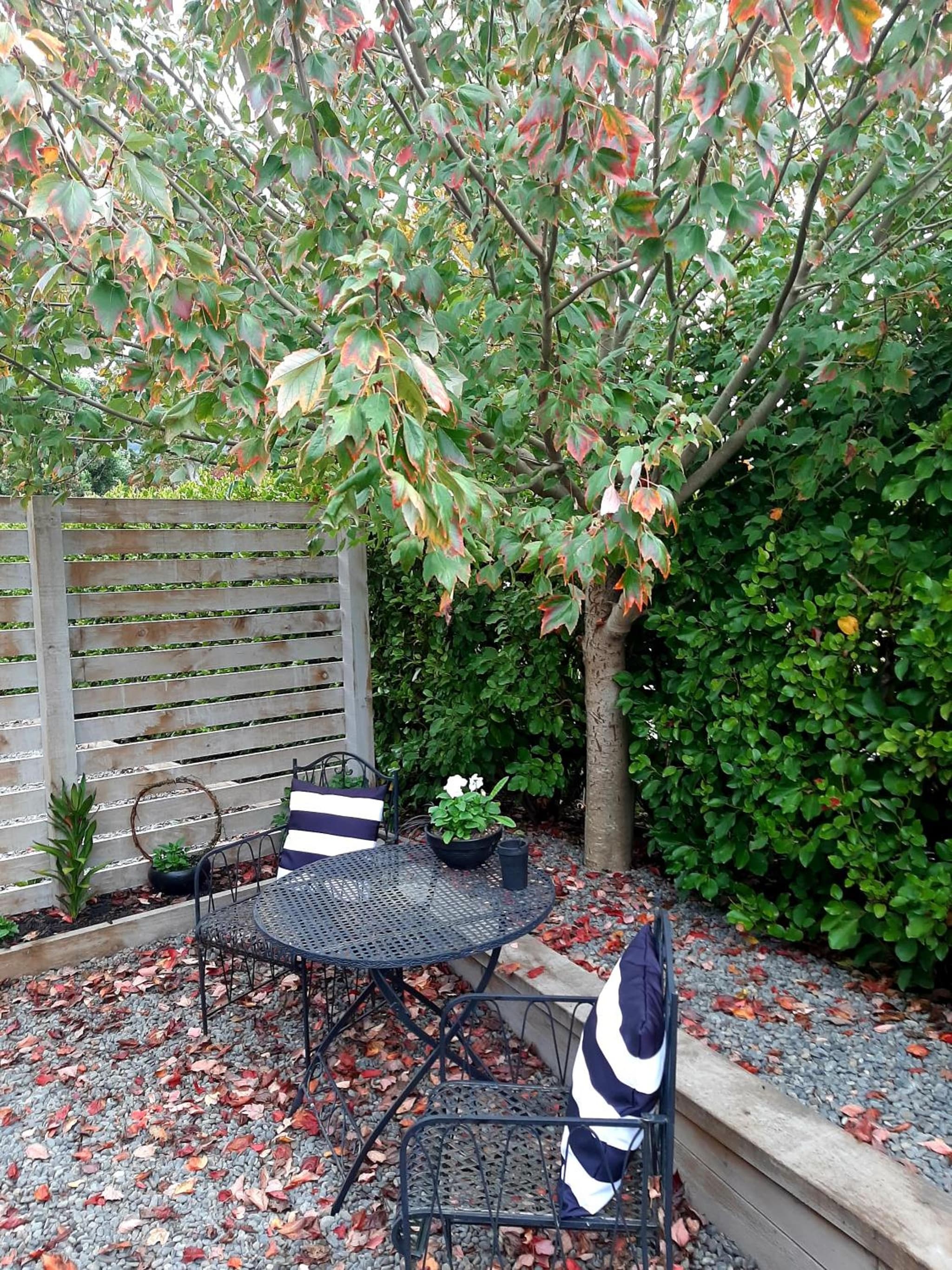 Tree View Studio photo 2