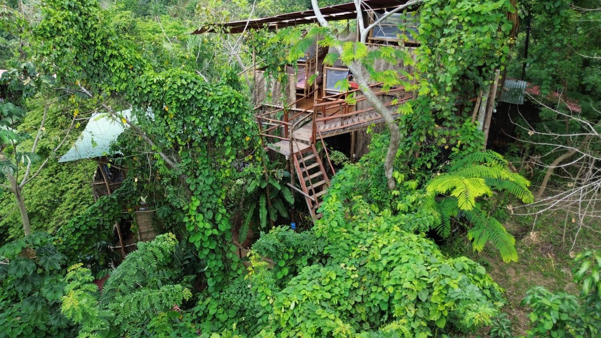 The Valley Tayrona hostel- A social jungle hostel