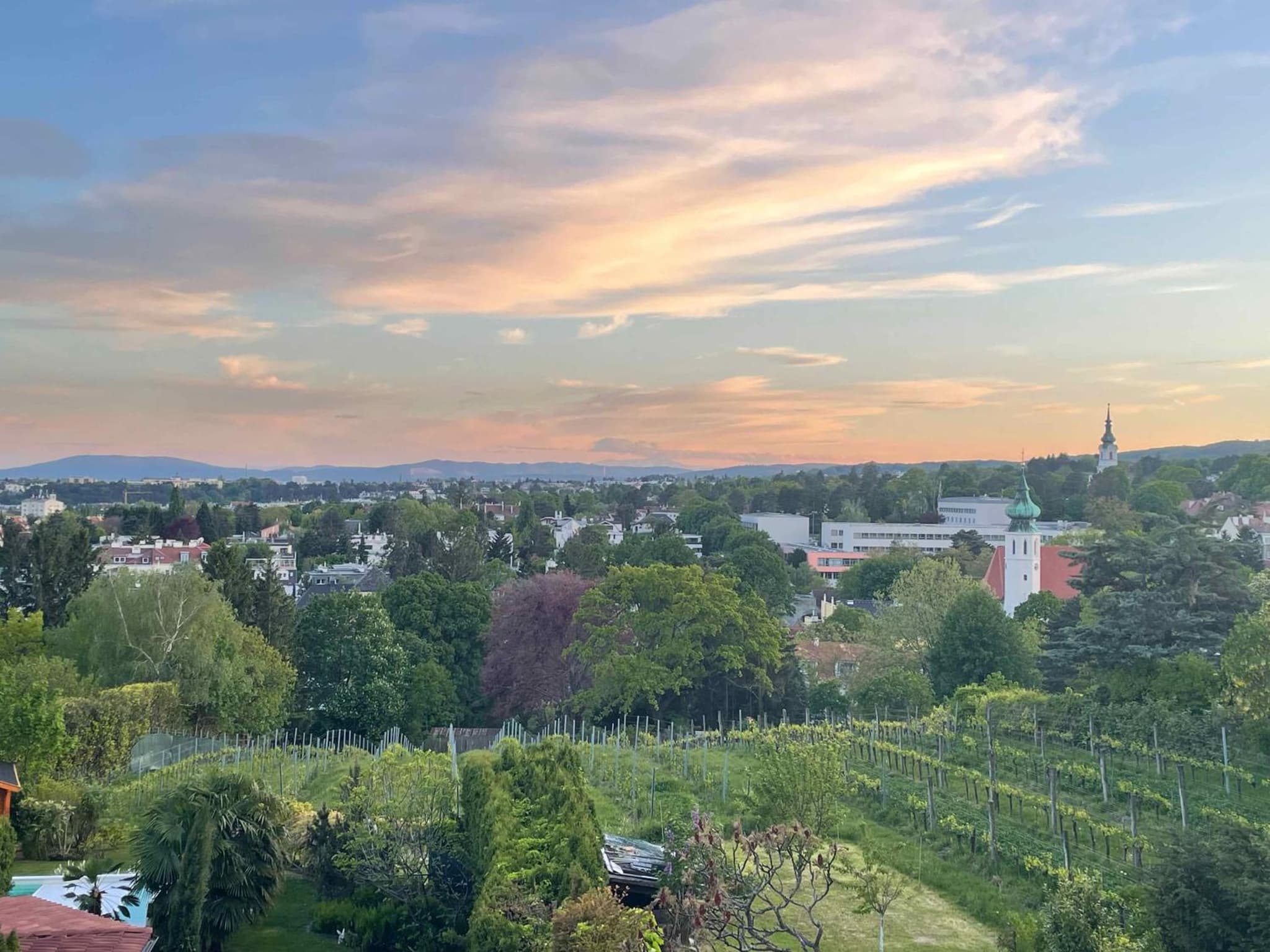 Herrlicher Ausblick über Wien photo 3