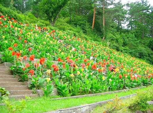 Nozawa Grand Hotel photo 2
