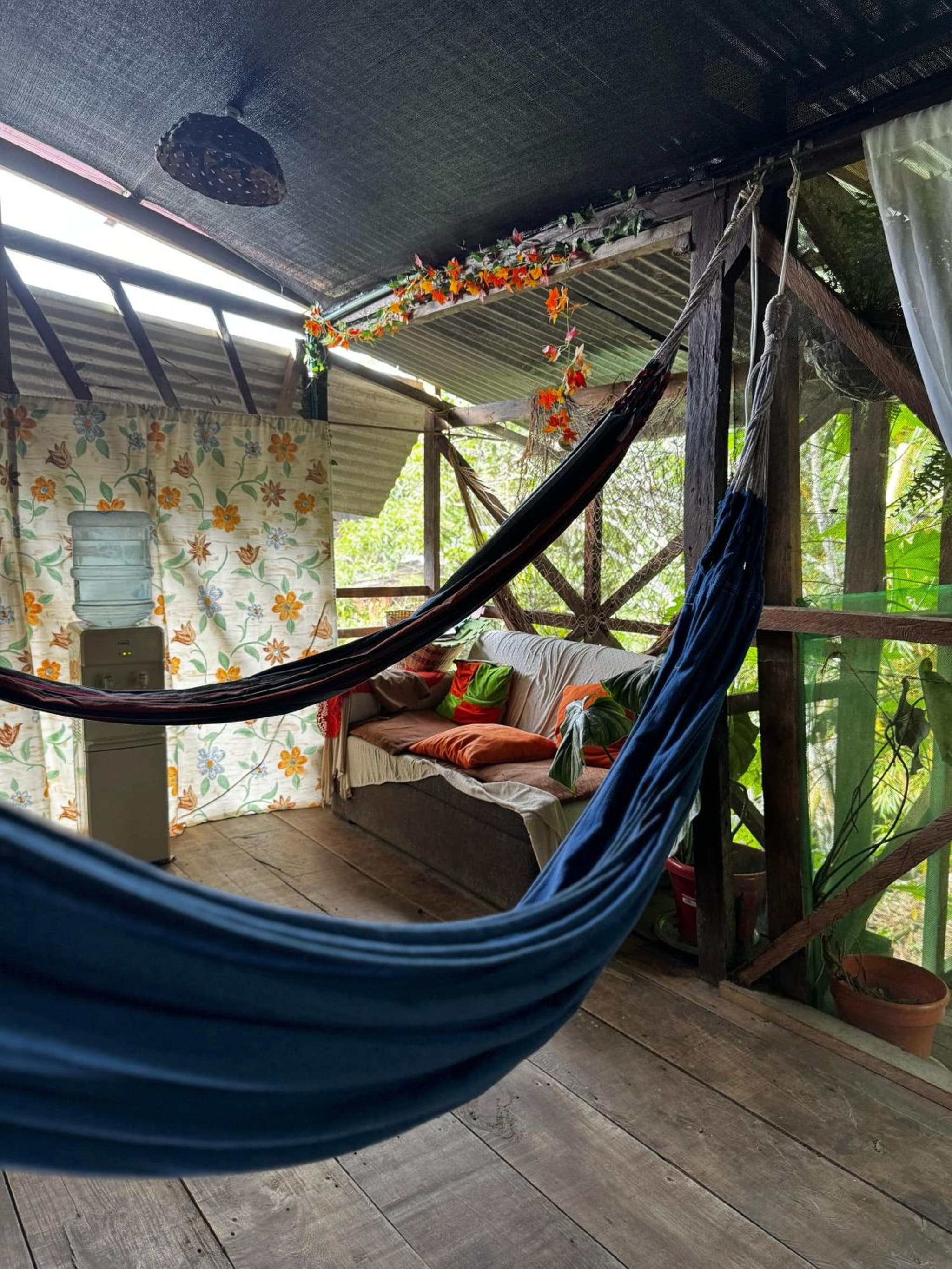Maiku Amazonas photo 9