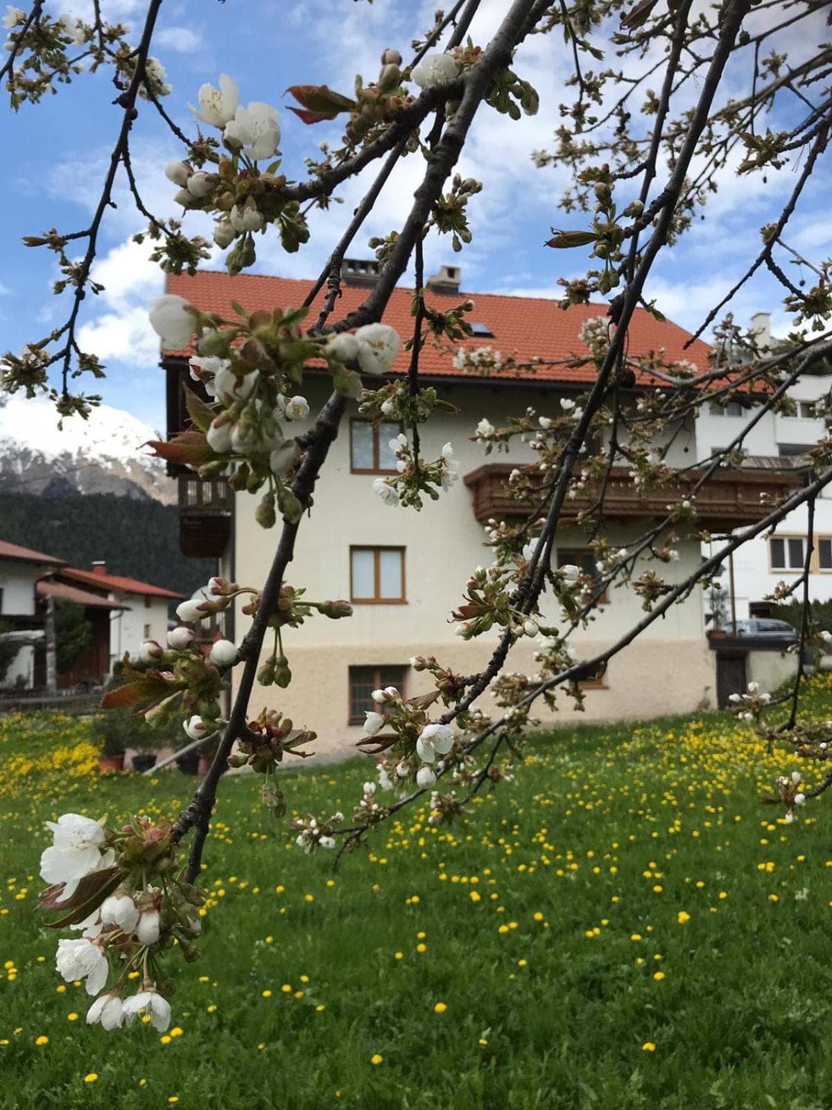 Hirschstube Nauders photo 9