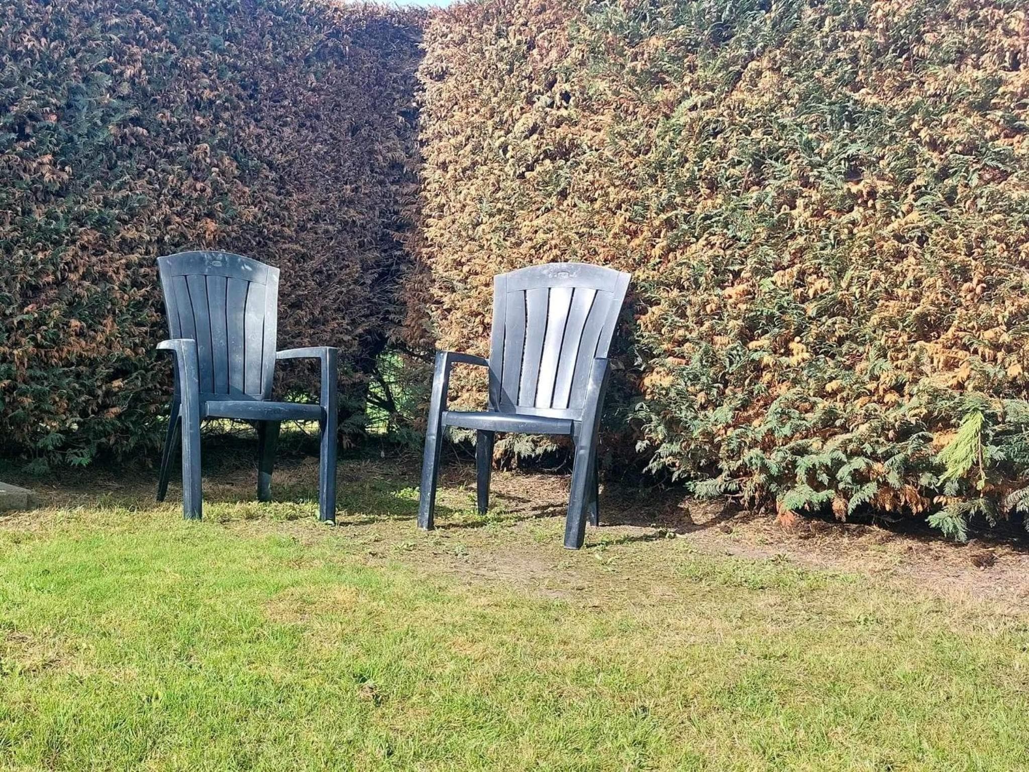 cottage Tangro photo 2