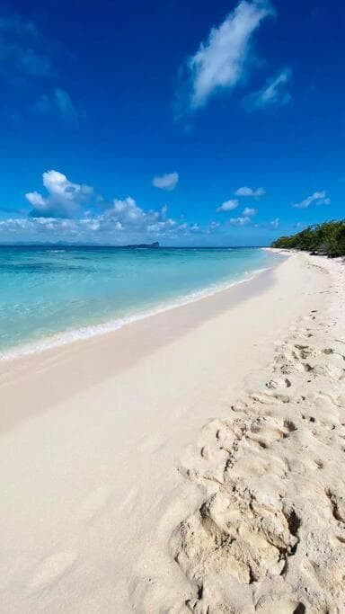Beach Appartement contemporain photo 5