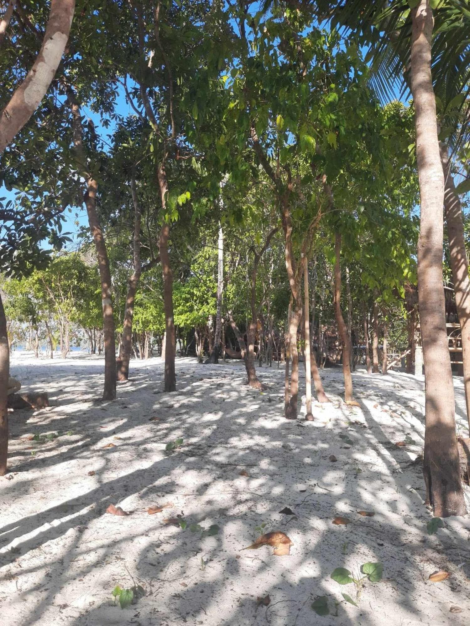 Dos Playa EcoCamp Daracoton Island photo 5
