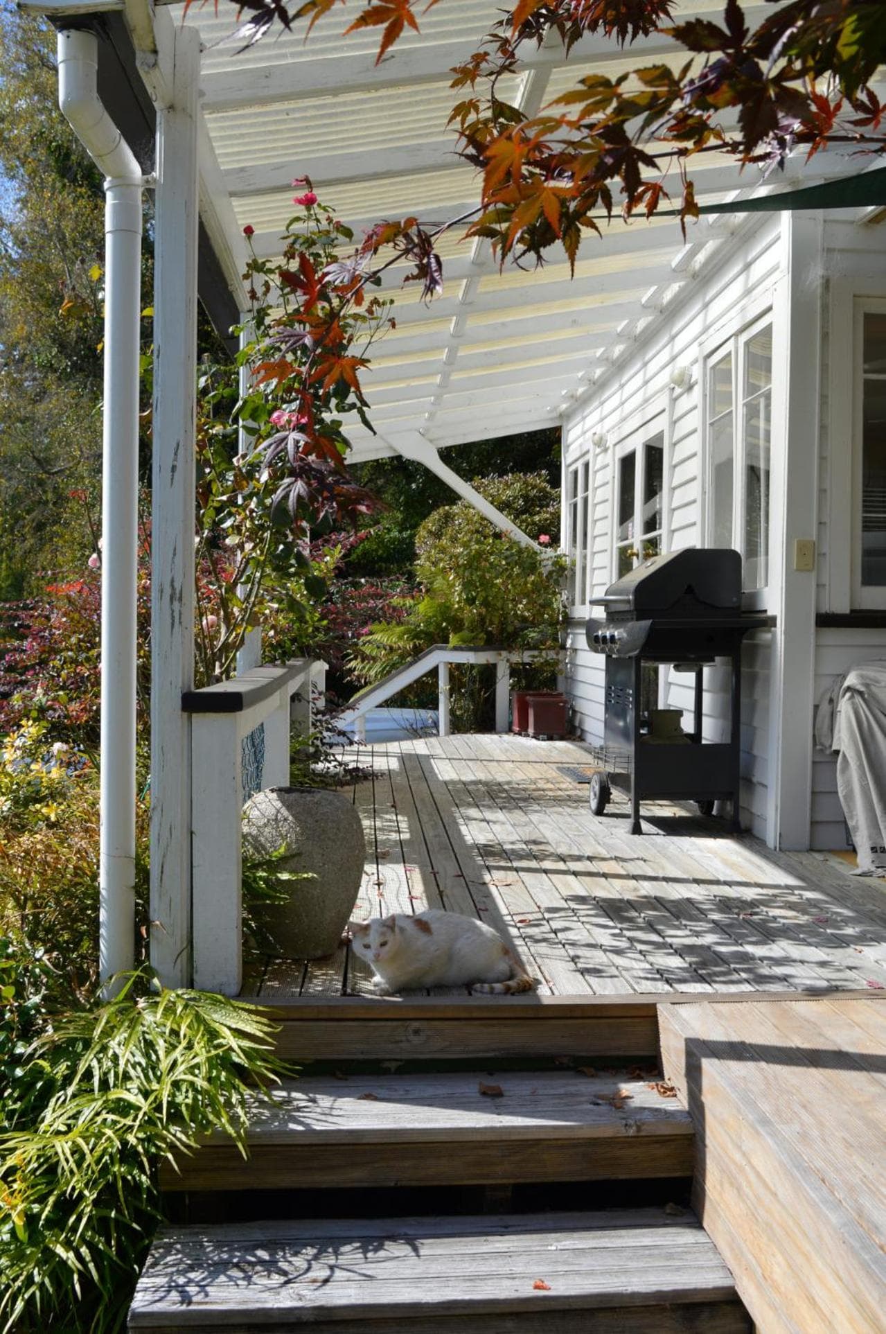 Magpie Cottage Homestay Bed & Breakfast photo 5