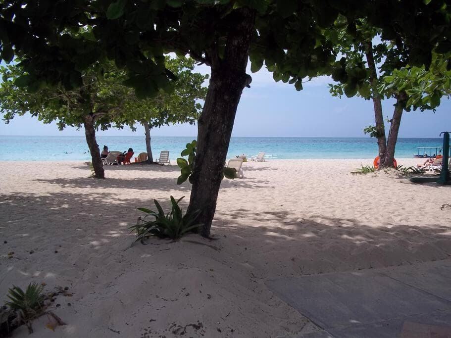 Studio Apt on 7 Mile Beach at Negril Beach Club photo 8