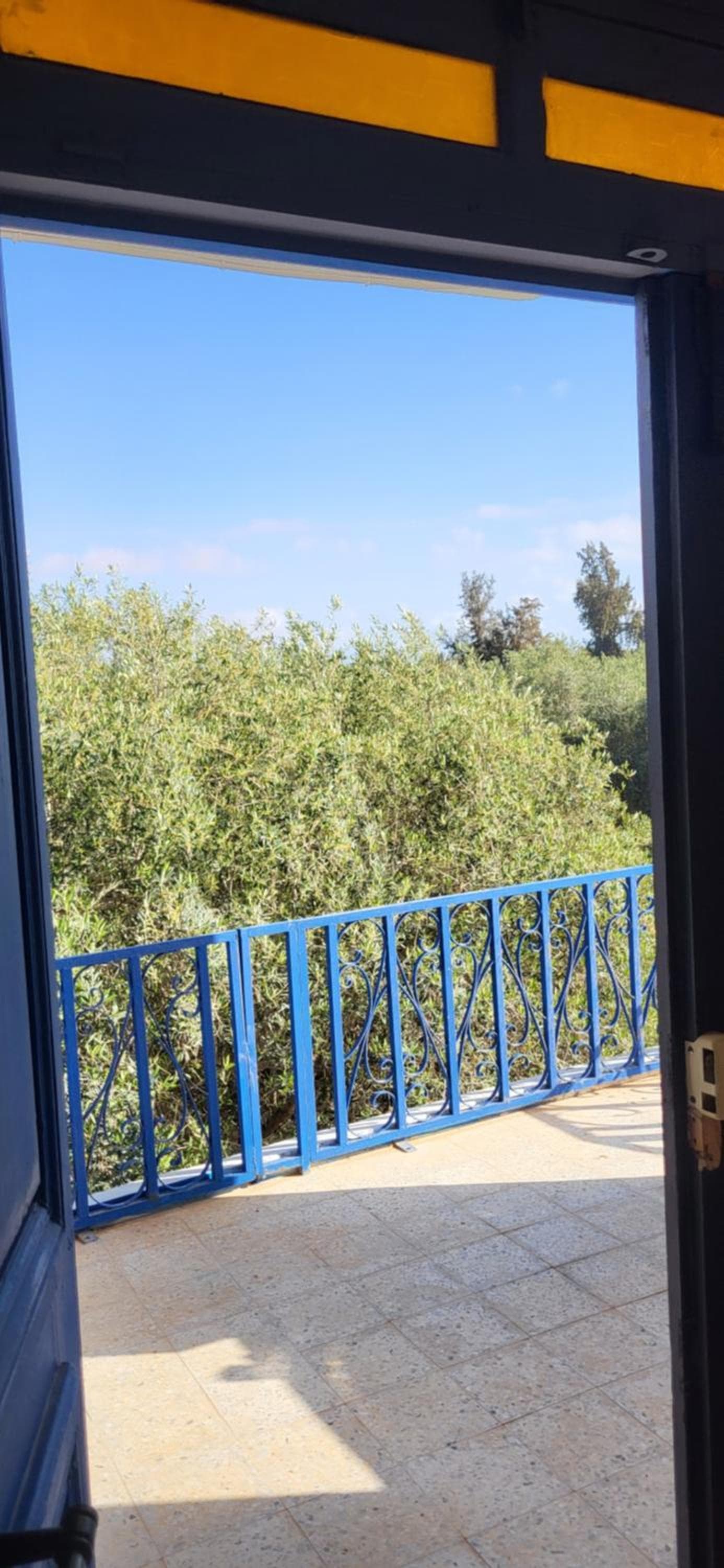 ZINA RESORT camping touristique photo 6