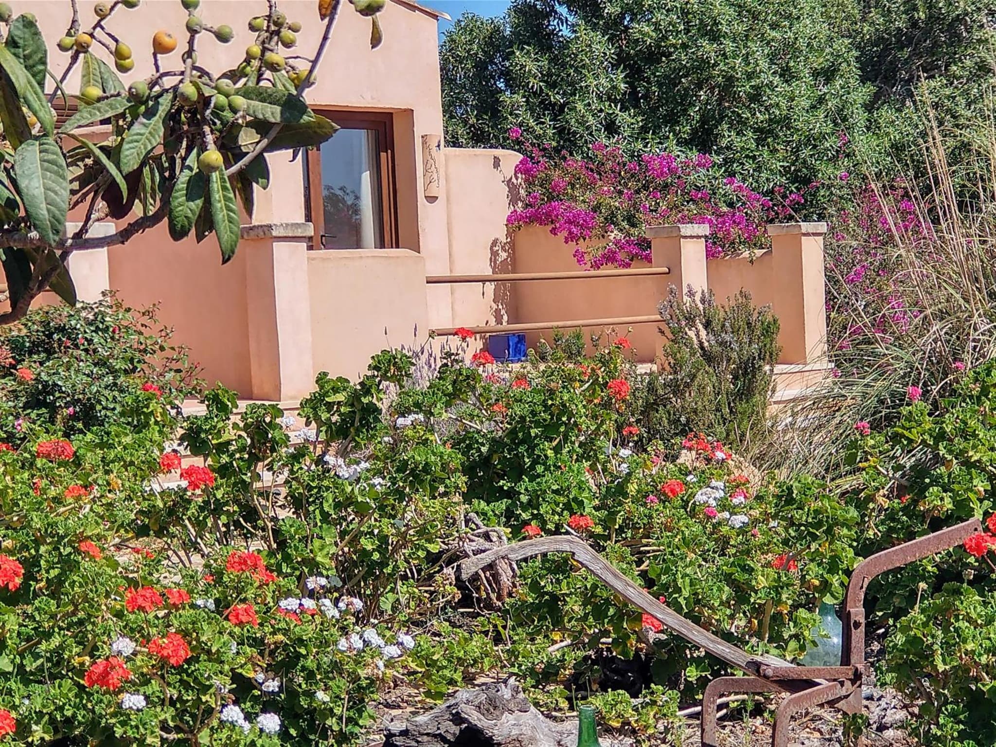 Finca Son Marimon - Adults Only photo 8