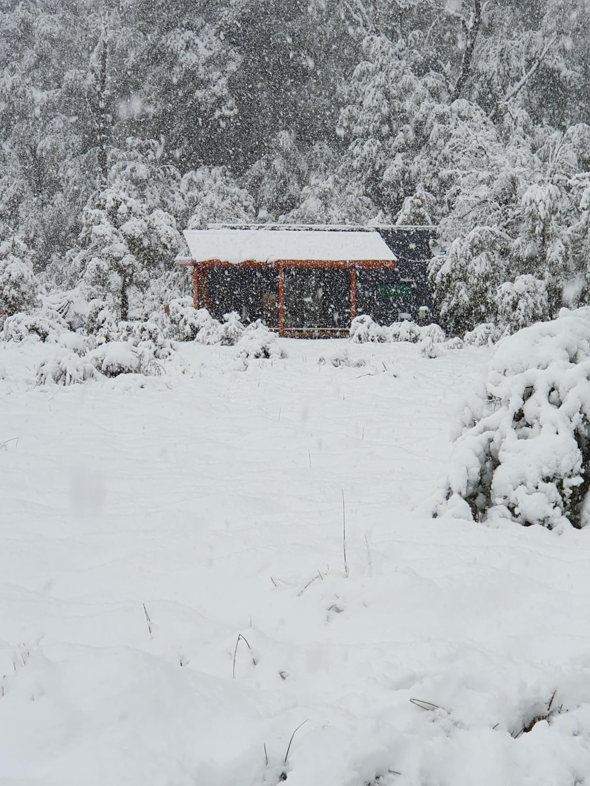 Tiny House 2 a 3 per Malalcahuello Wifi Satelital