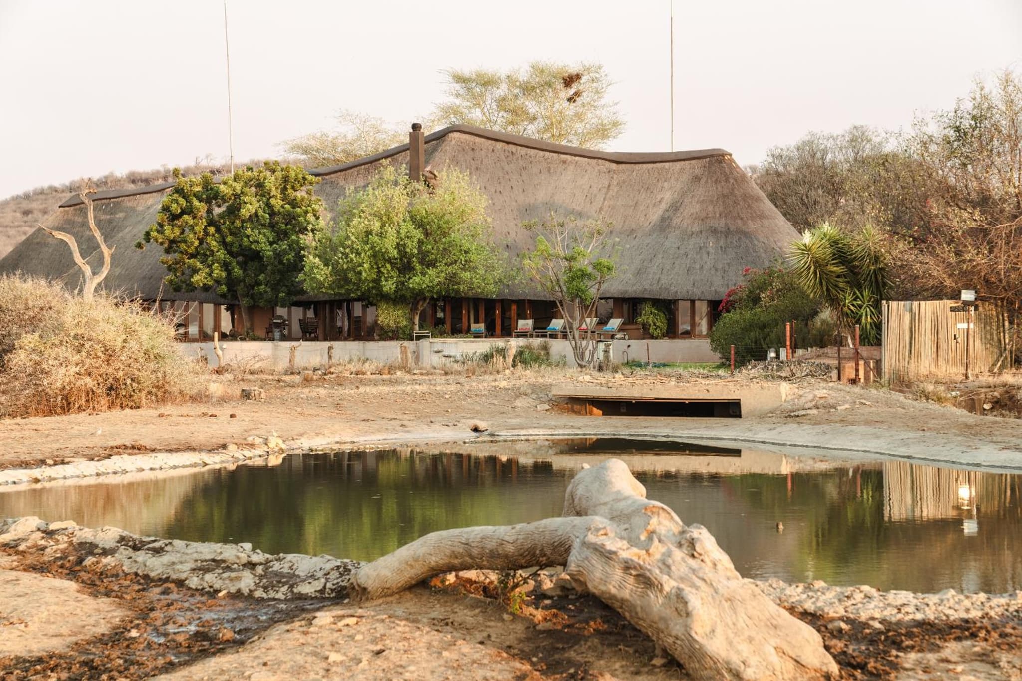 Last Word Madikwe