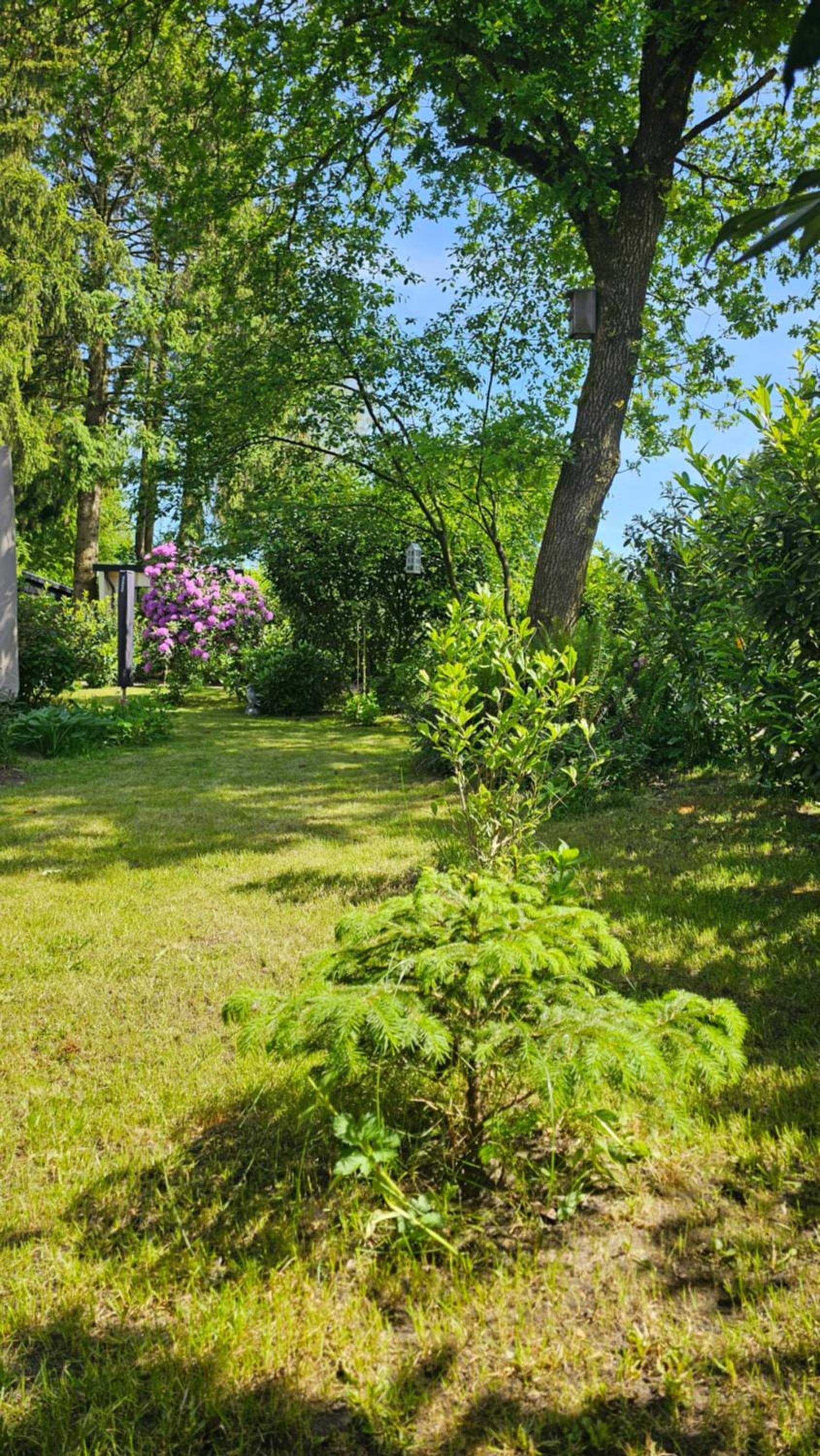 De Bosuil photo 6
