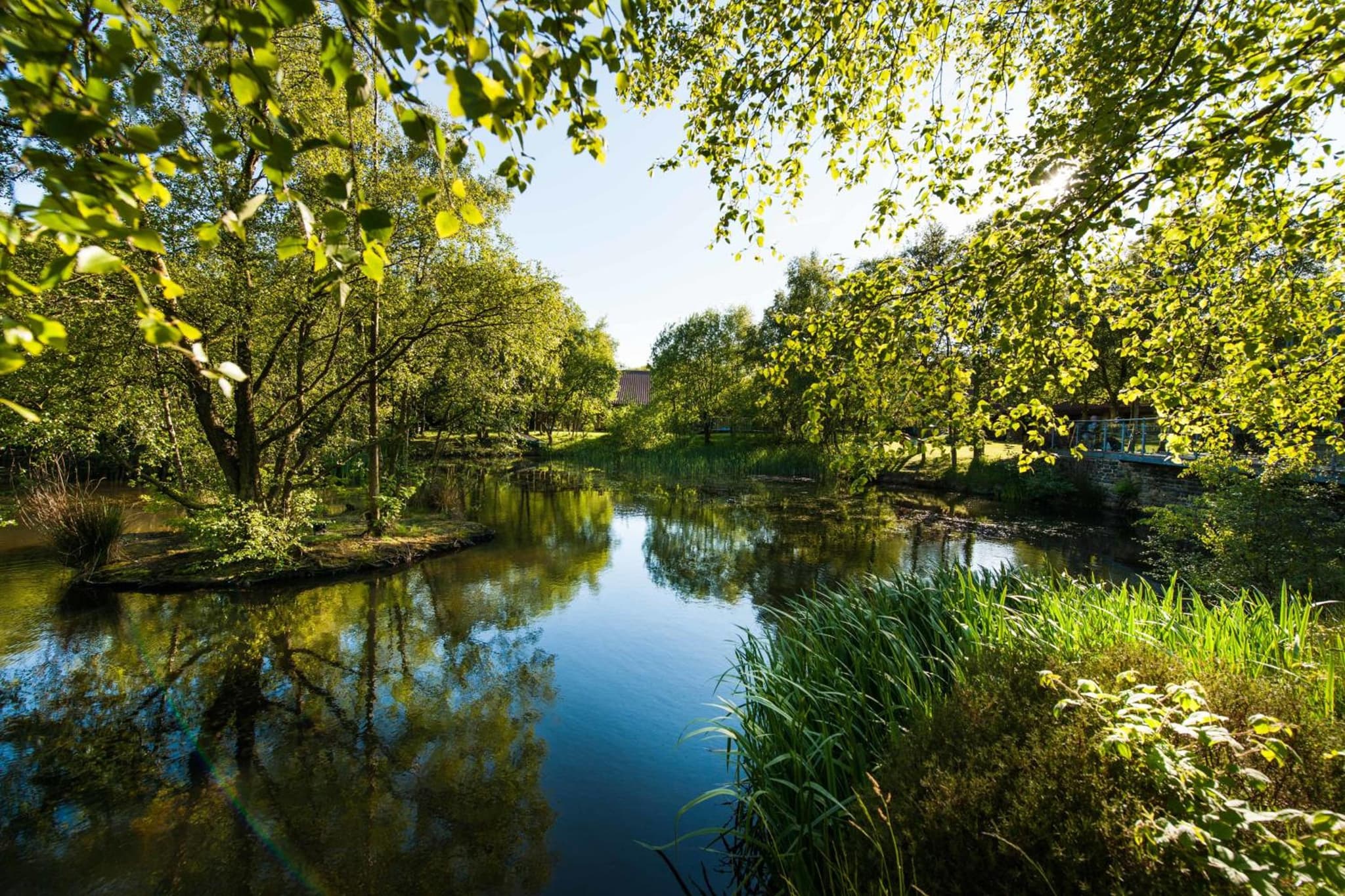 Chevin Country Park Hotel & Spa photo 4