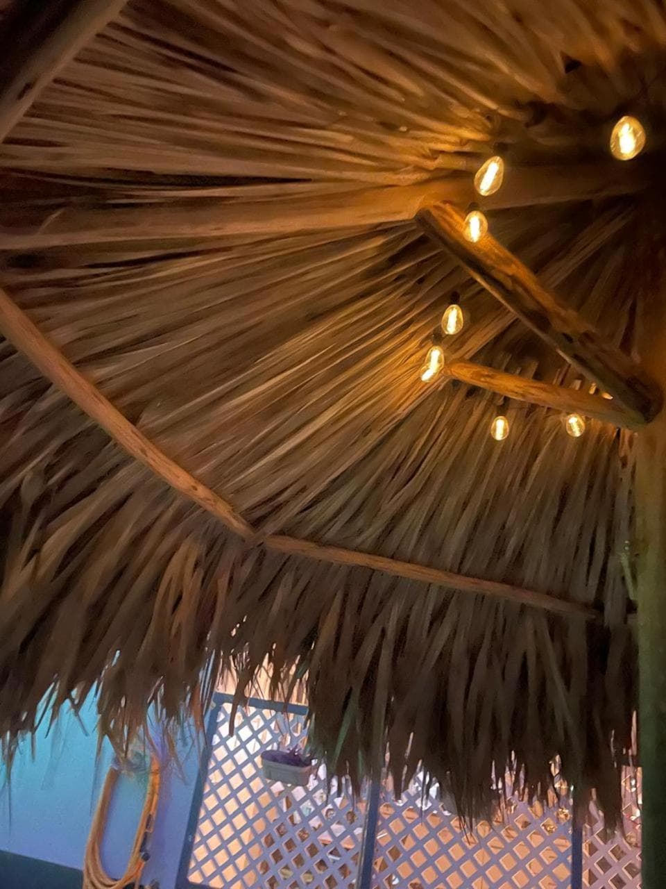 Palmhouse Aruba 1-2 persons photo 3