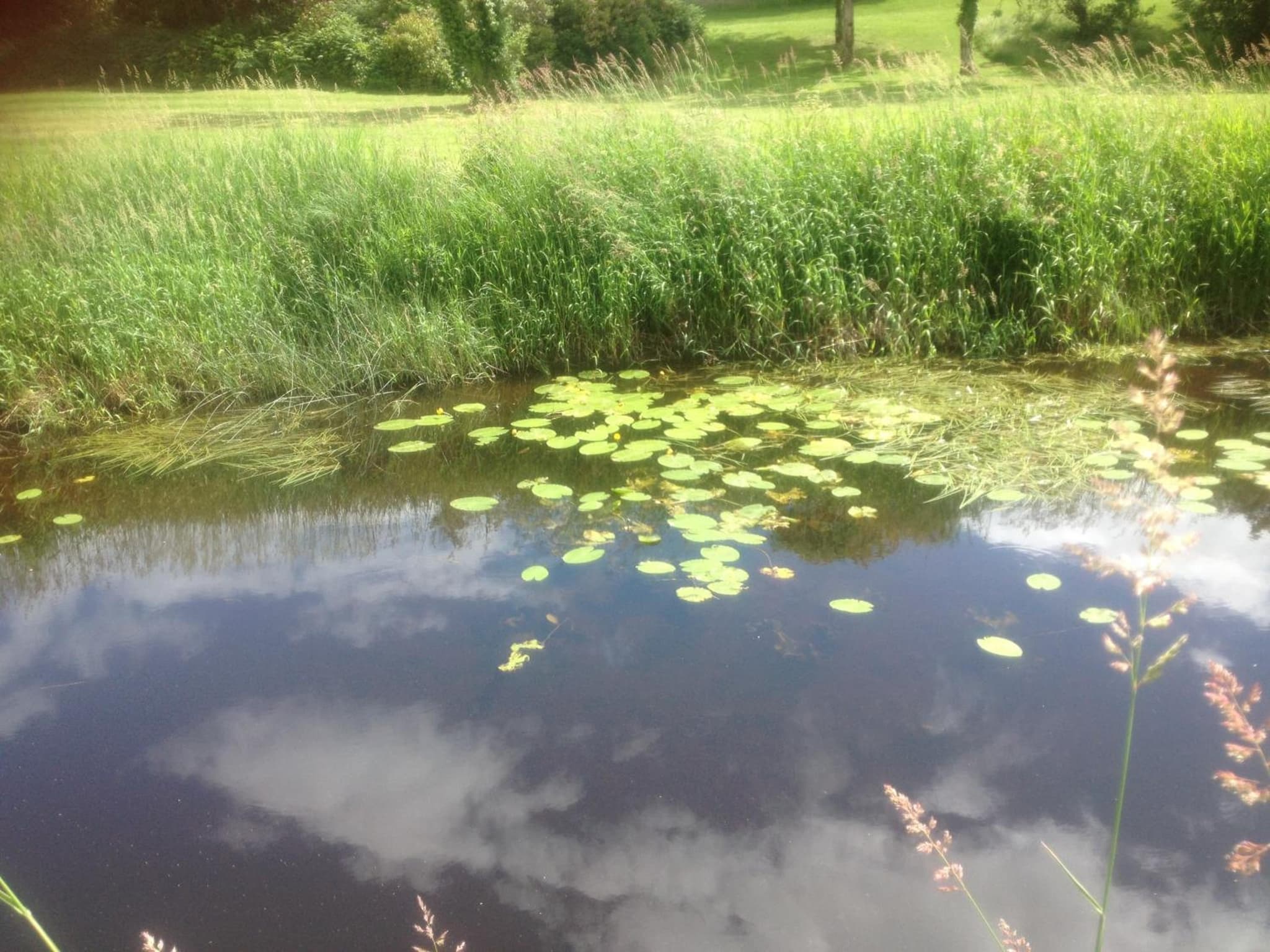 Woodside Self Catering Lough Rynn photo 8