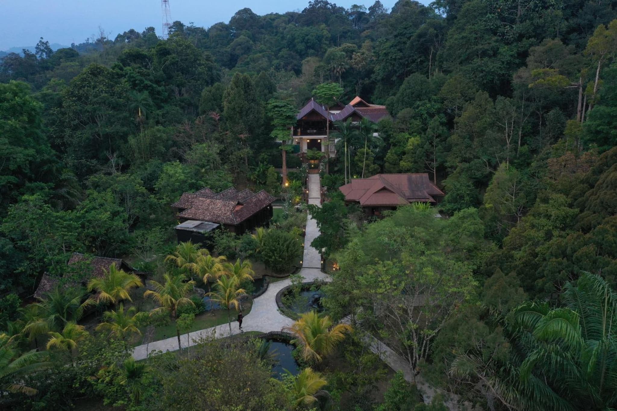 Kebun Rimba Janda Baik photo 2