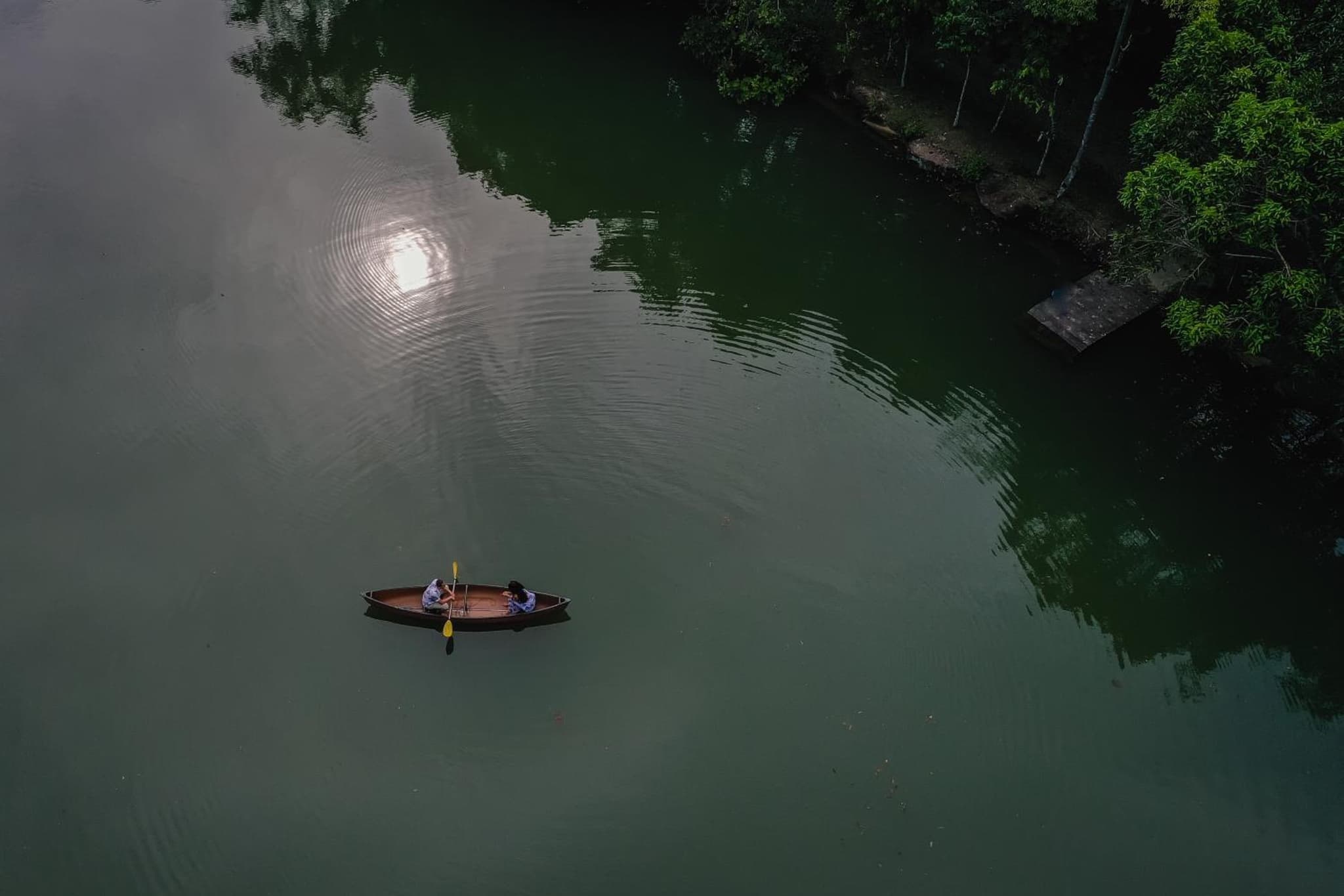 Kebun Rimba Janda Baik photo 9