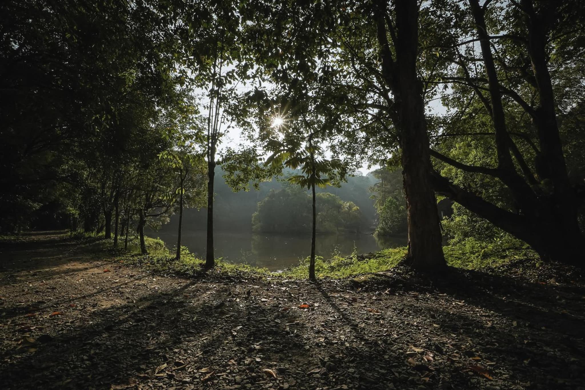 Kebun Rimba Janda Baik photo 8