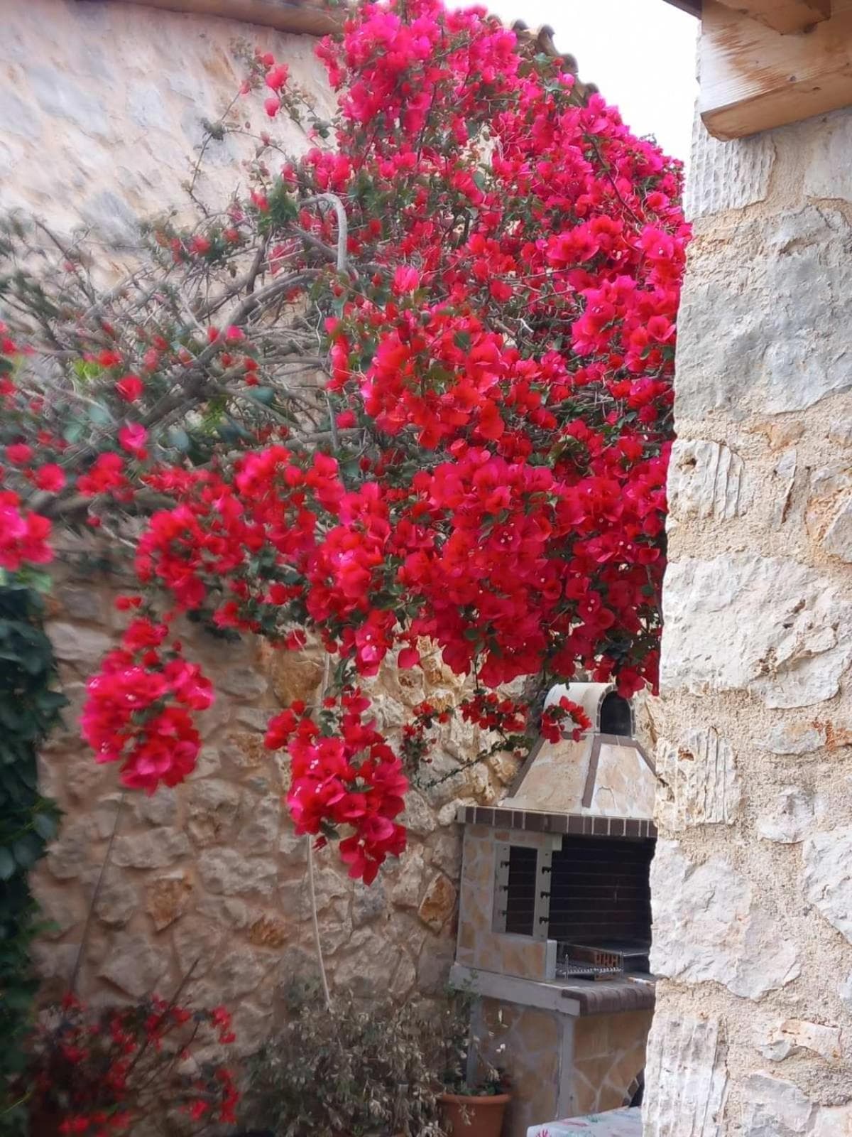 Dioni Villa photo 4