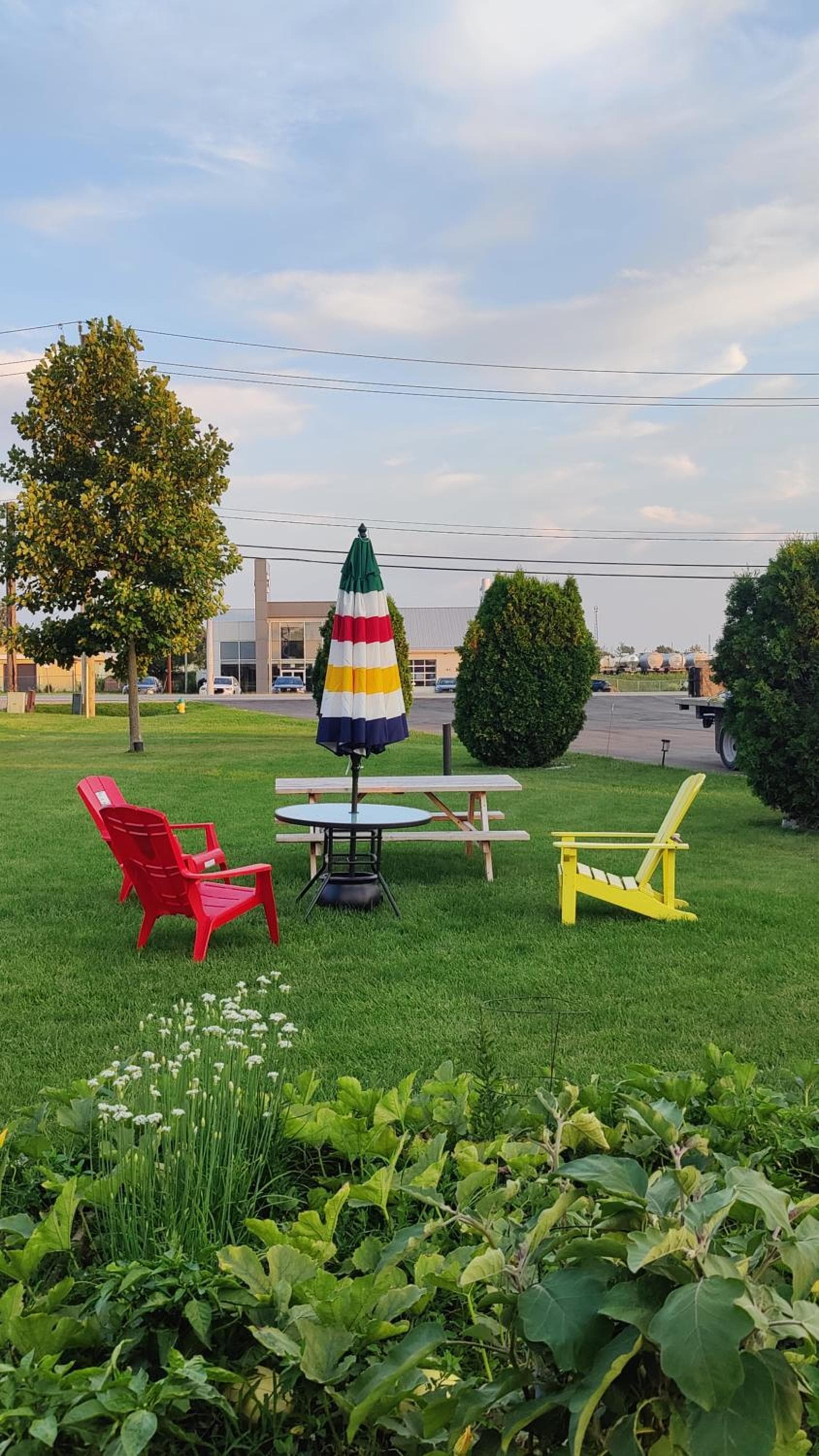 Tulip Motel photo 4