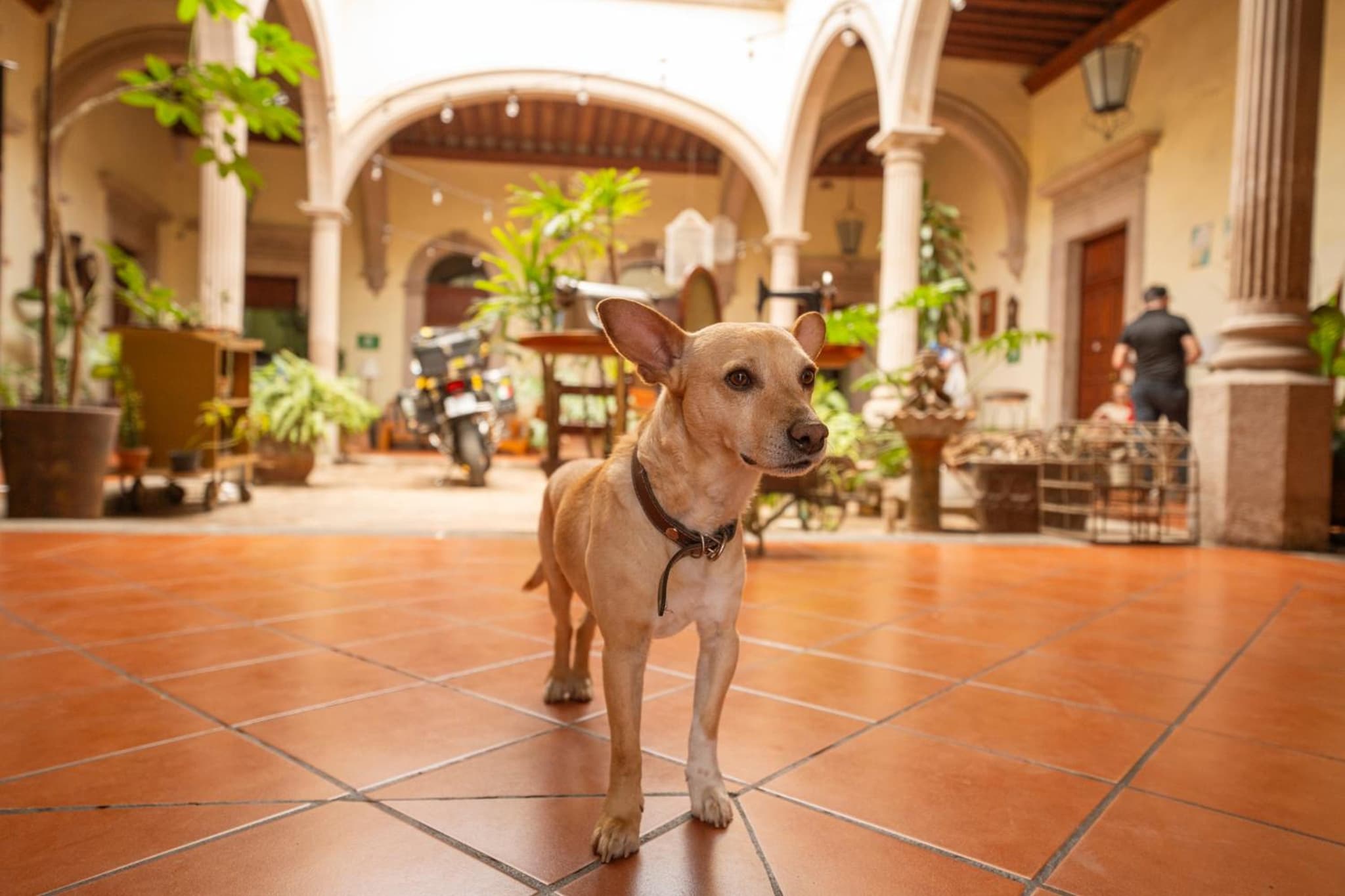 Hotel Posada San Agustin photo 9