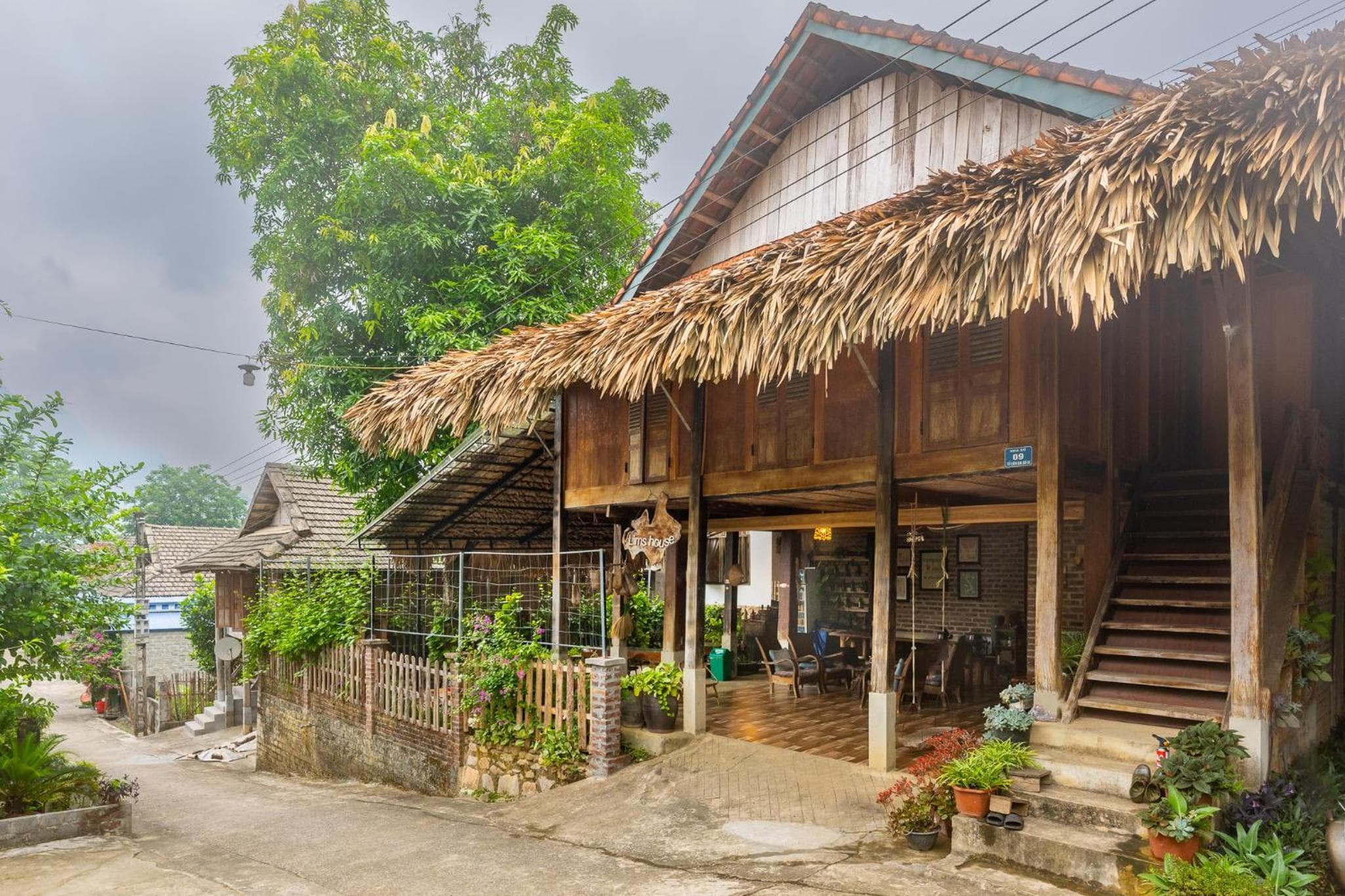 Lim's house