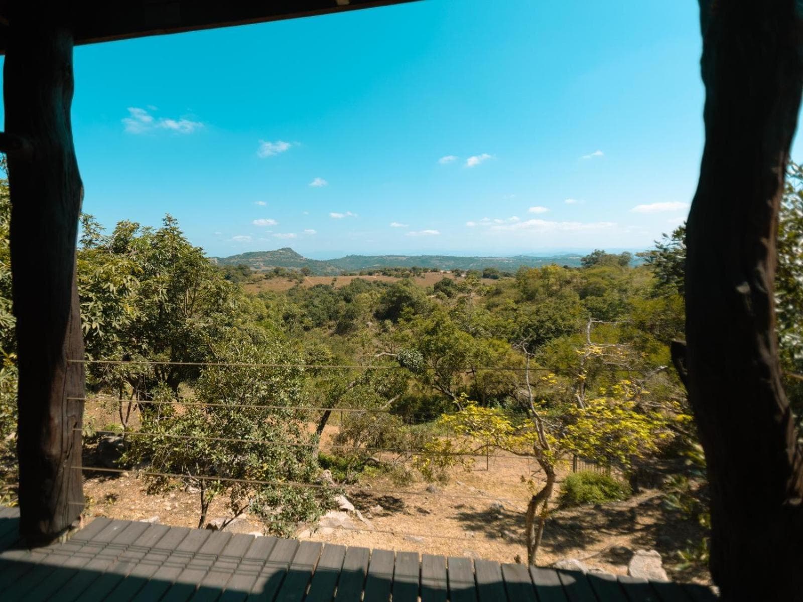 Oluchi Lodge photo 2