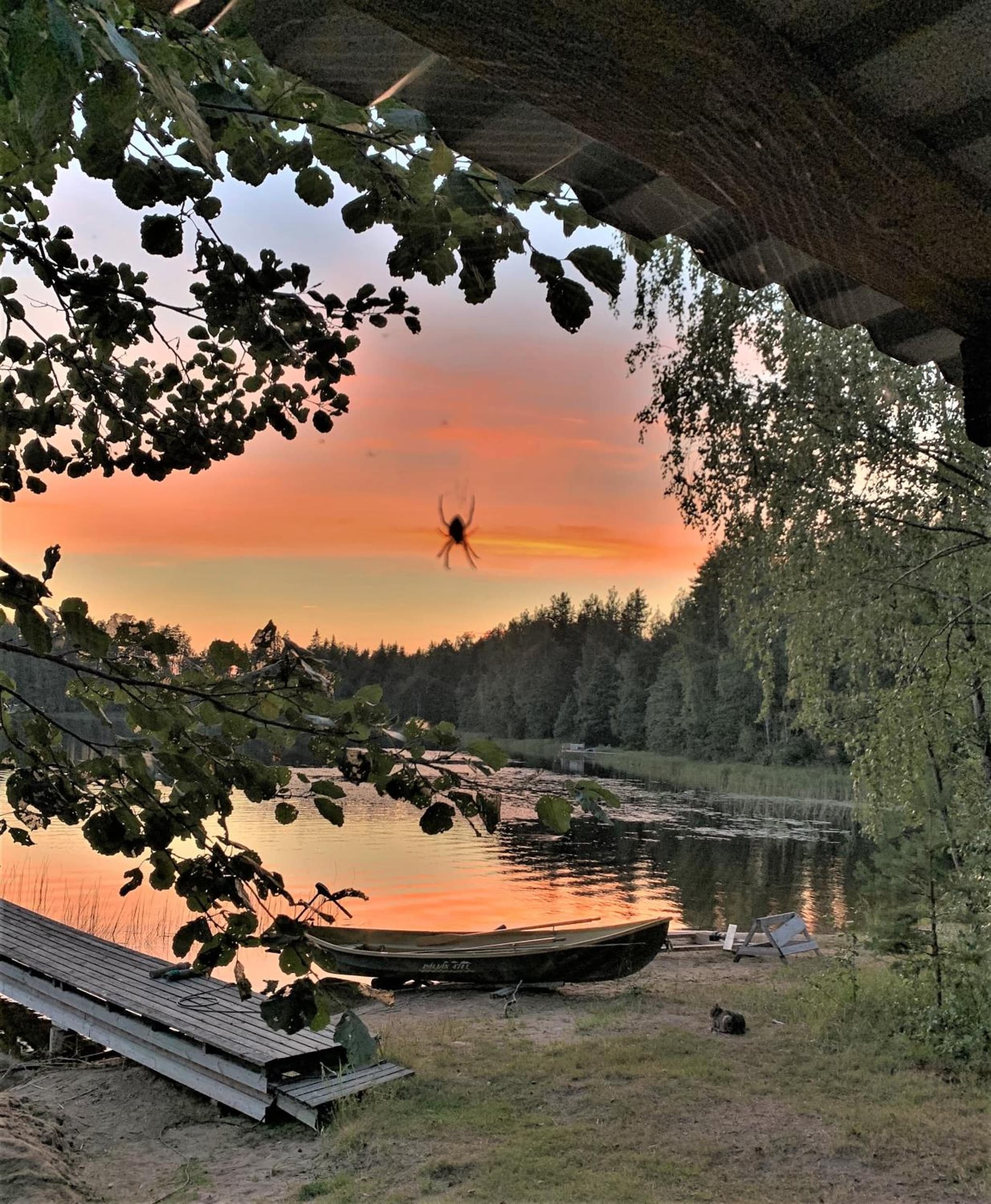 Lappalaisen lomamökit Majoitushuoneisto photo 5