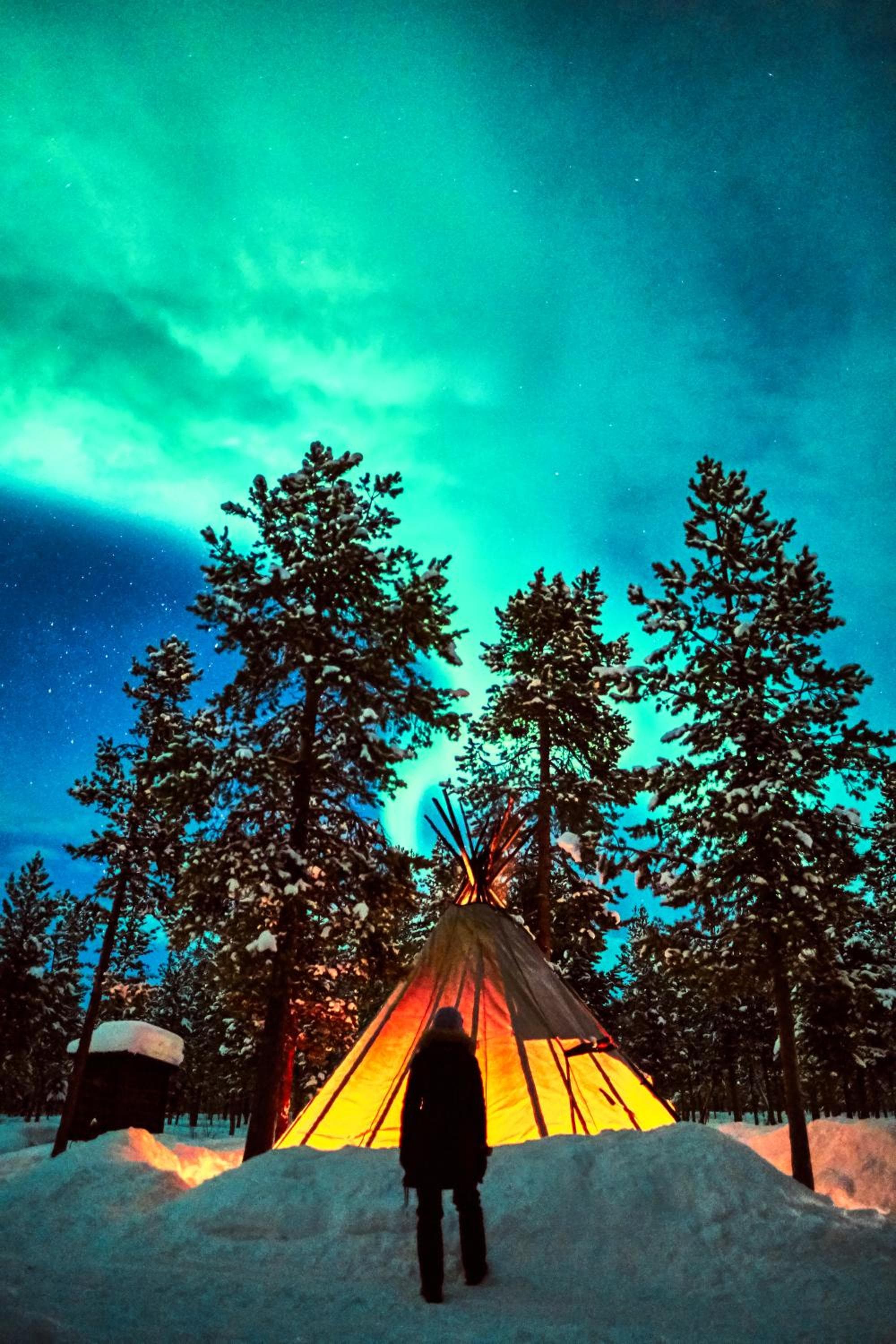 Reindeer Lodge photo 4